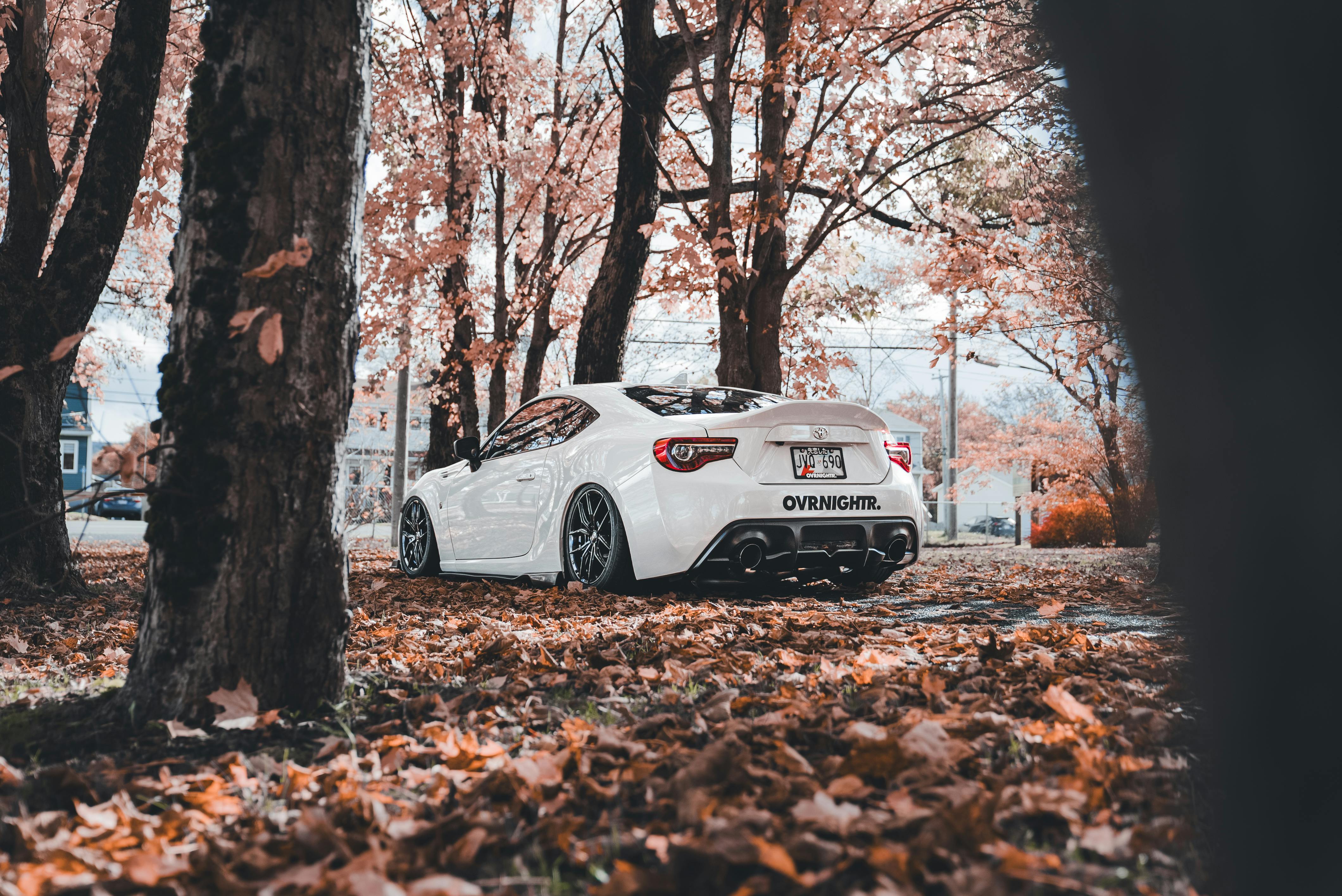 Panamá vs Guatemala: 5 Hidden Gems for Outdoor Enthusiasts