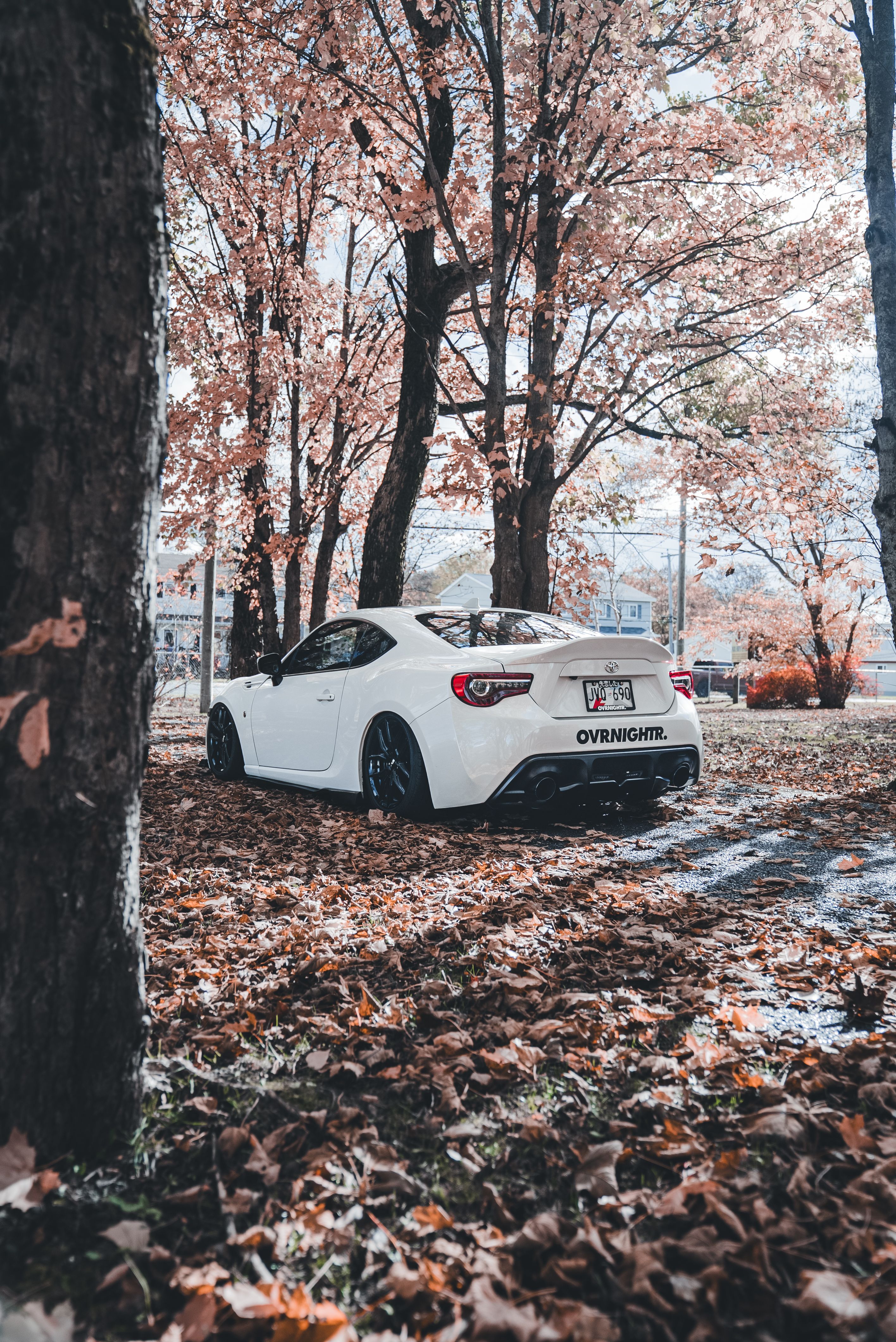 White Sports Car on a Leaf-Covered Autumn Road · Free Stock Photo