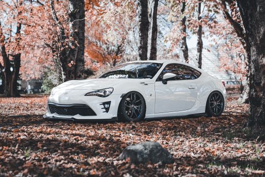 A sleek white sports car parked among autumn foliage, surrounded by vibrant orange leaves.