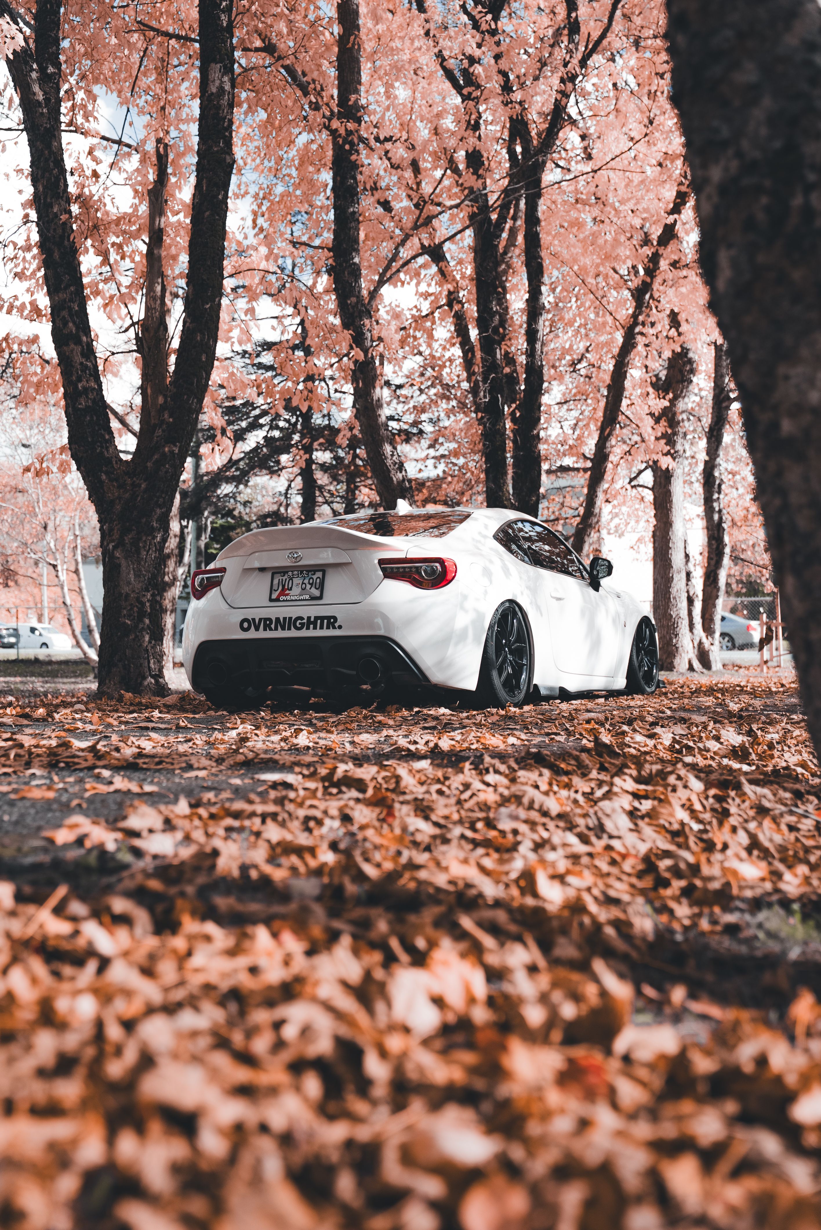 Sleek white car amidst vibrant fall foliage · Free Stock Photo