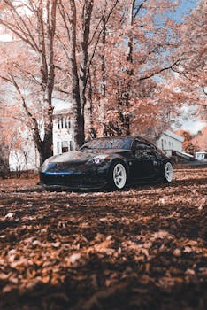 A modern black car parked in a scenic autumn setting with vibrant fall foliage and rustic background.