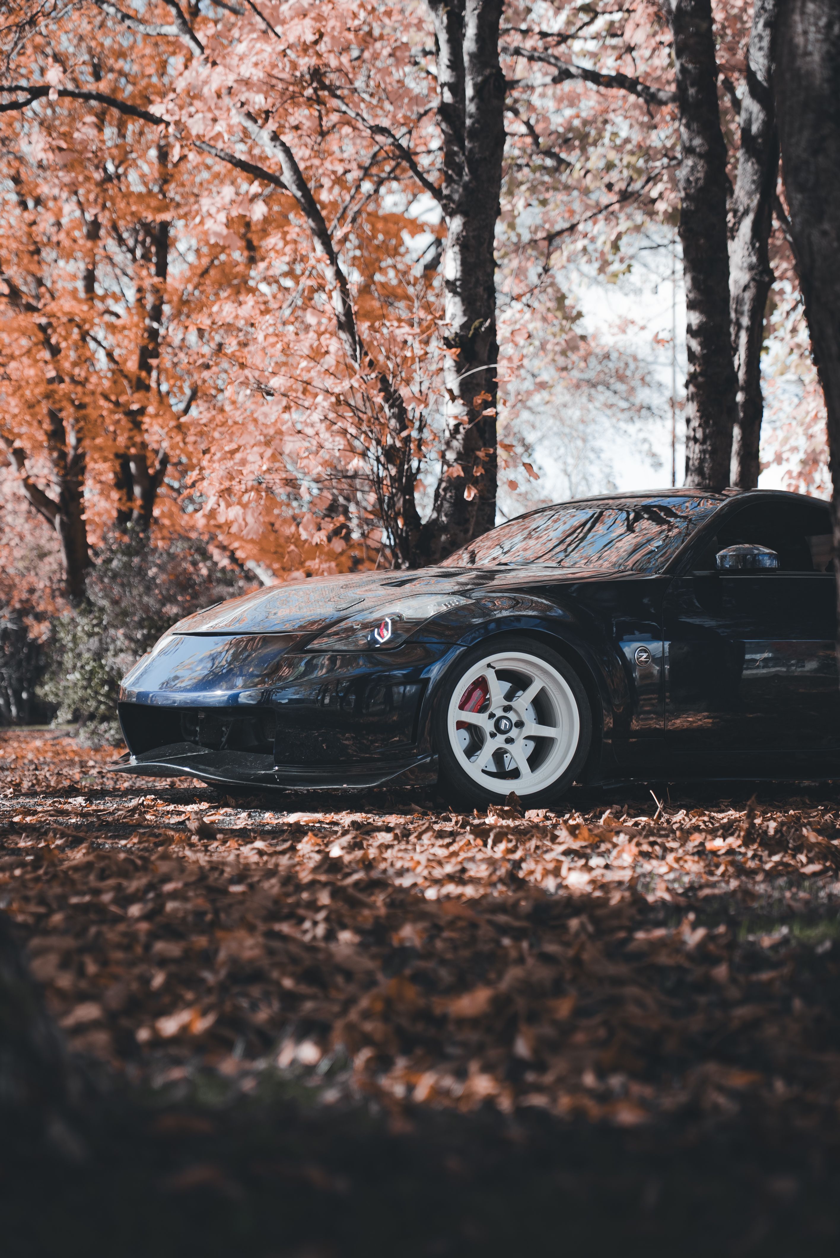 Sleek Sports Car amidst Autumn Foliage · Free Stock Photo