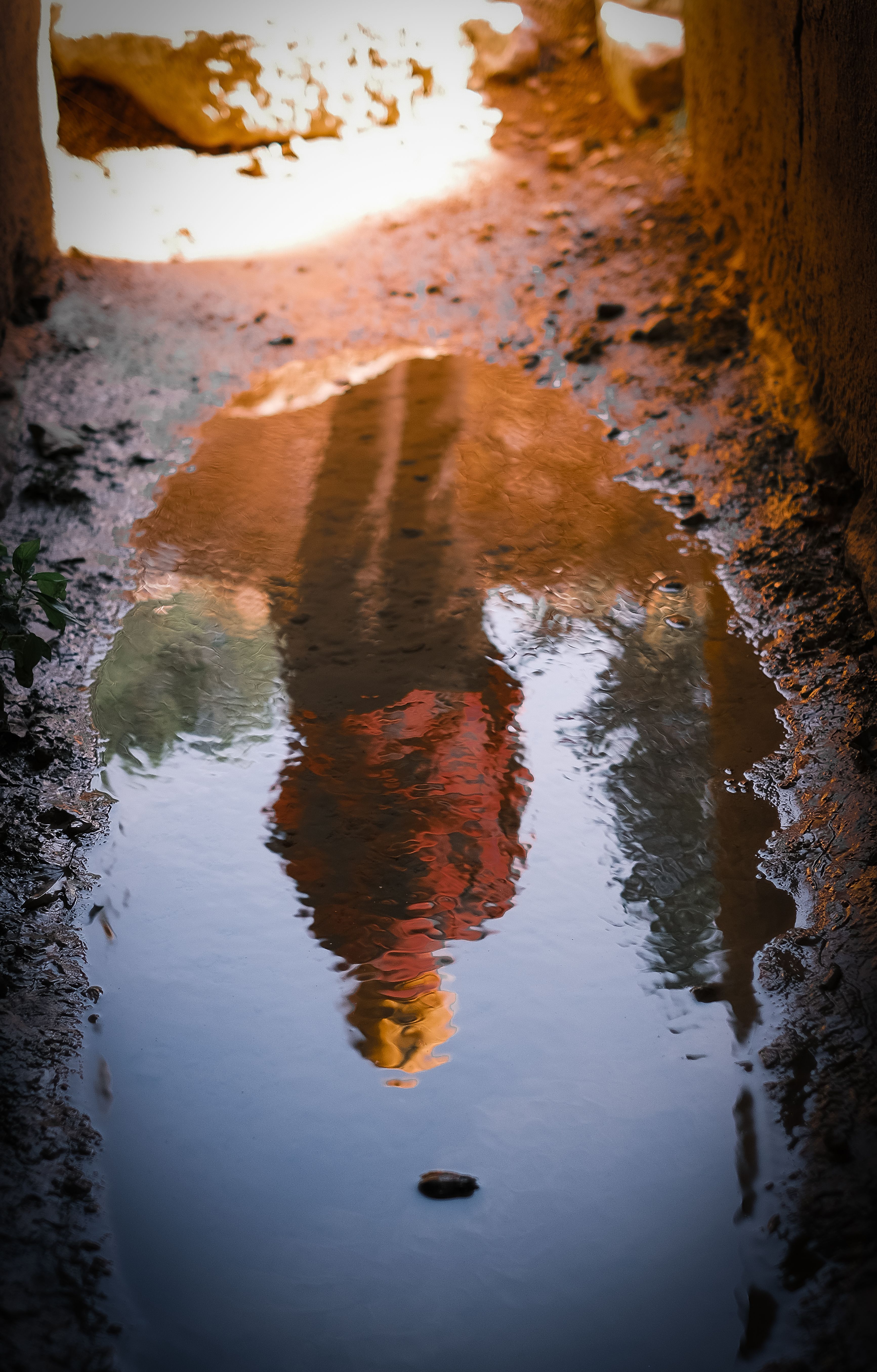 Artistic Reflection in Outdoor Puddle · Free Stock Photo