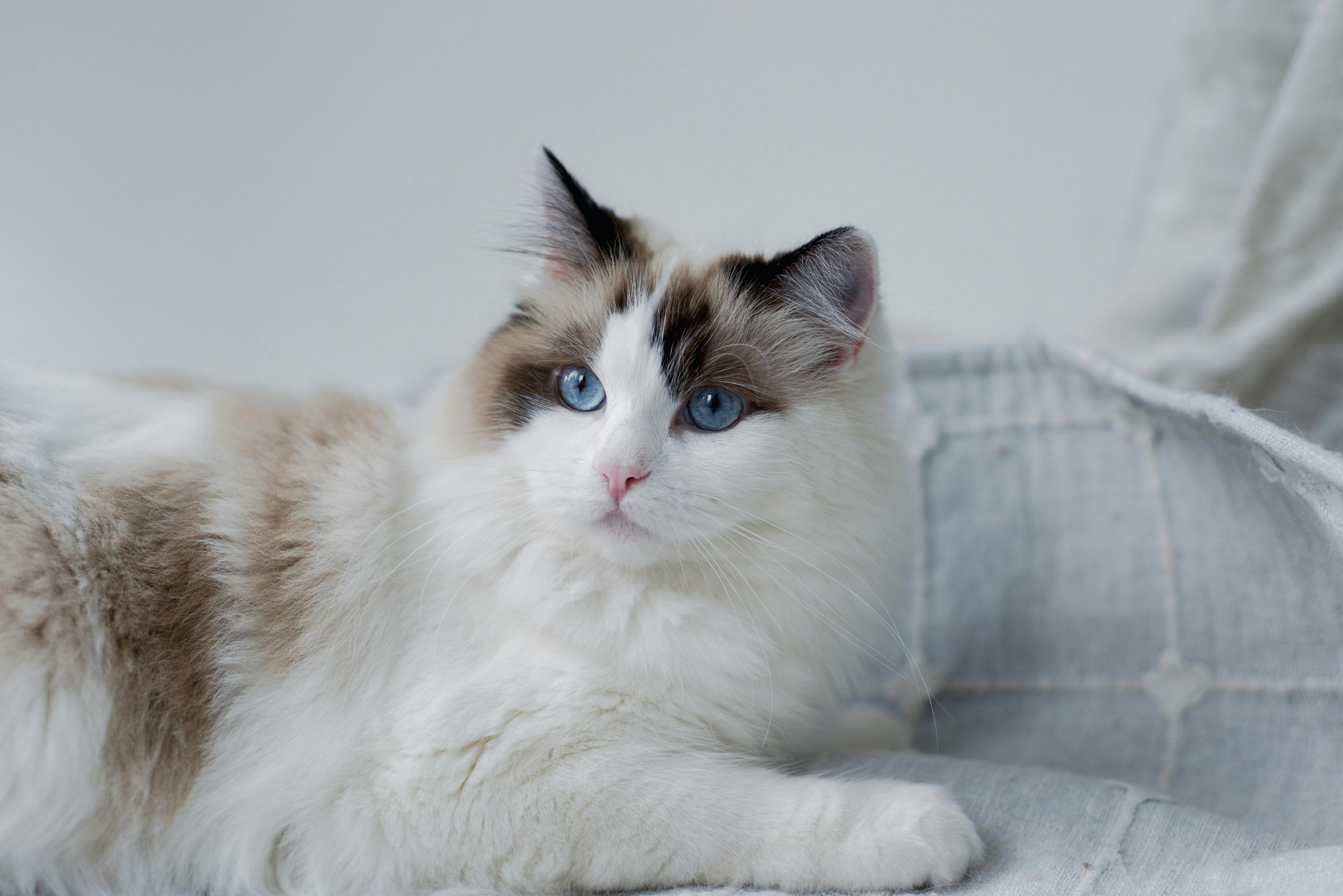 打造理想生活！五大實用技巧提升居家幸福感