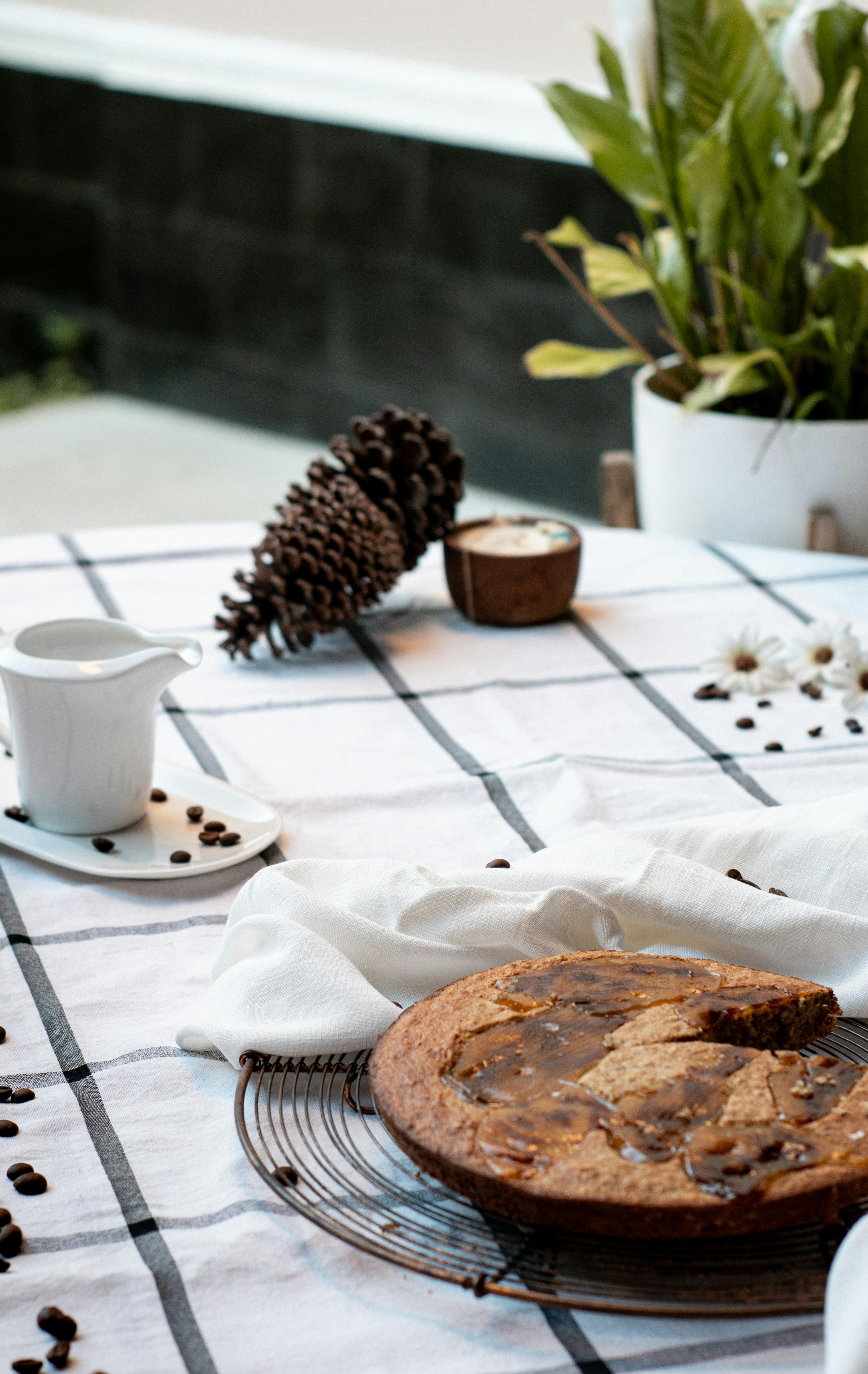 pest-repellent kitchen plants