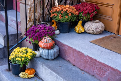 Eco-Friendly Ways to Dispose of Halloween Décor Responsibly