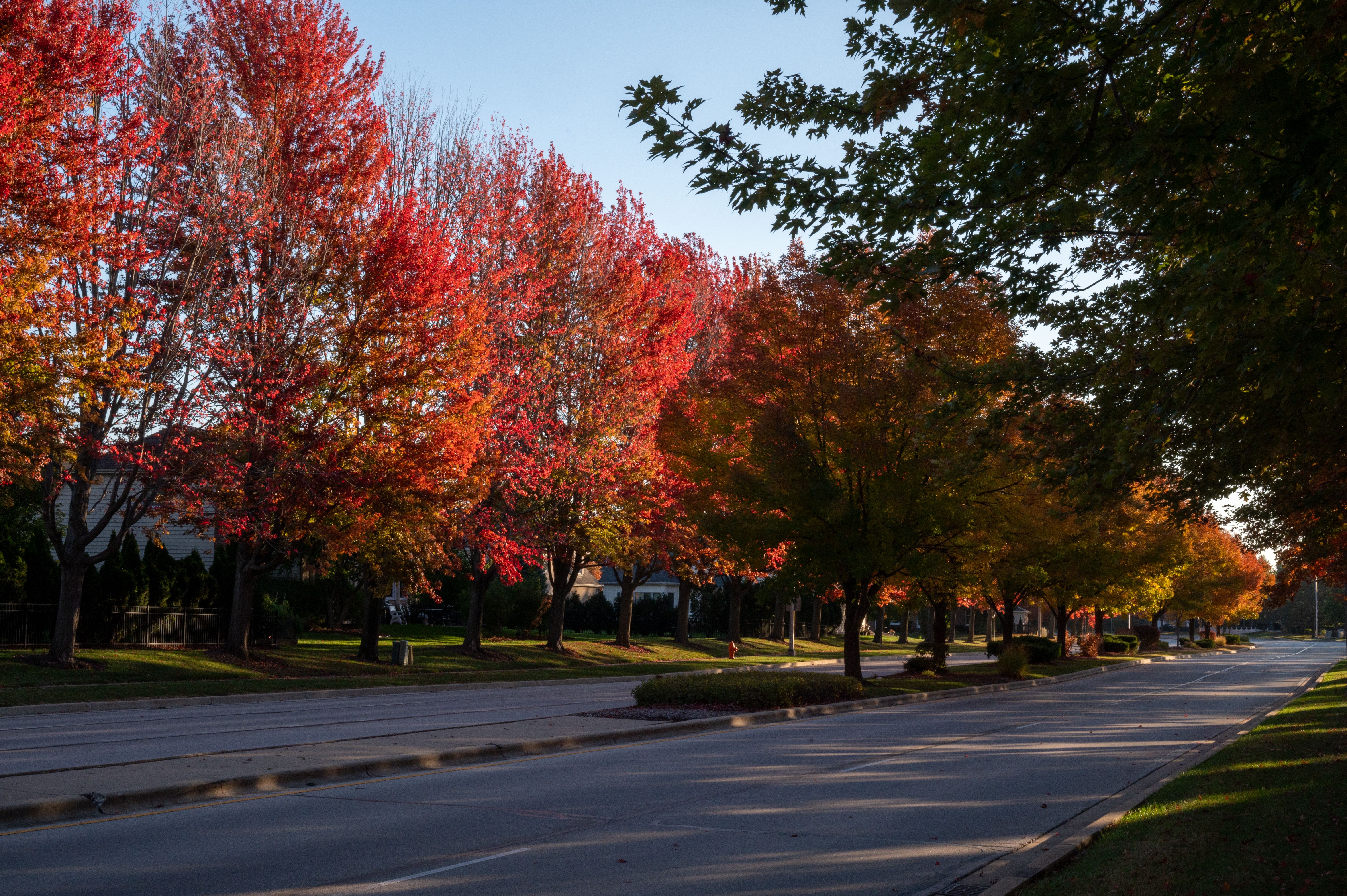 Curving tree-lined residential street on the bluff above the Scioto River in the Arlington Ridge area