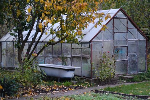 A rustic greenhouse surrounded by autumn foliage with an adjacent vintage bathtub, capturing tranquil garden ambiance.
