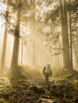 A lone hiker with a backpack walking through a sunlit forest, creating an adventurous and serene atmosphere.