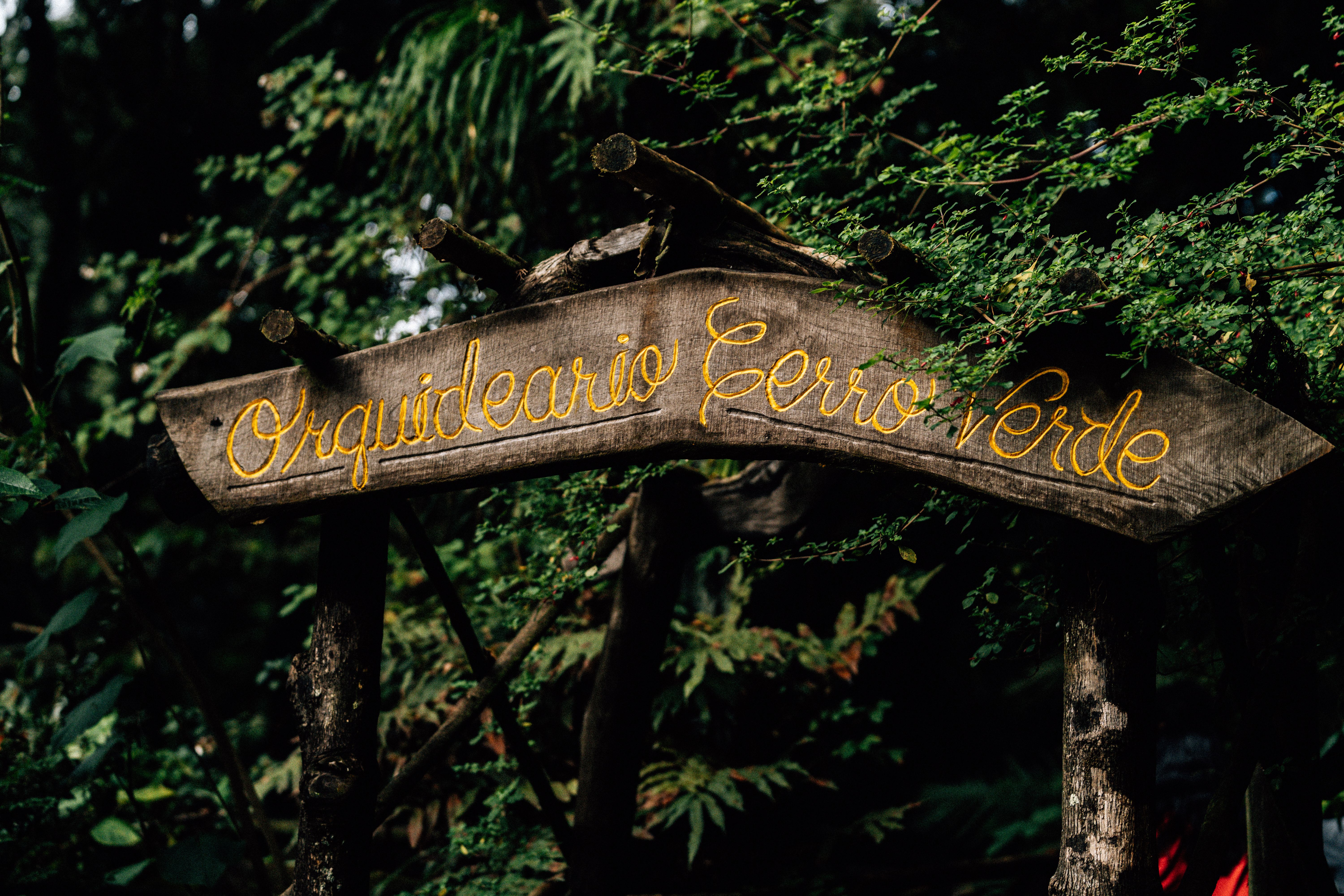 Landmarks in Monteverde