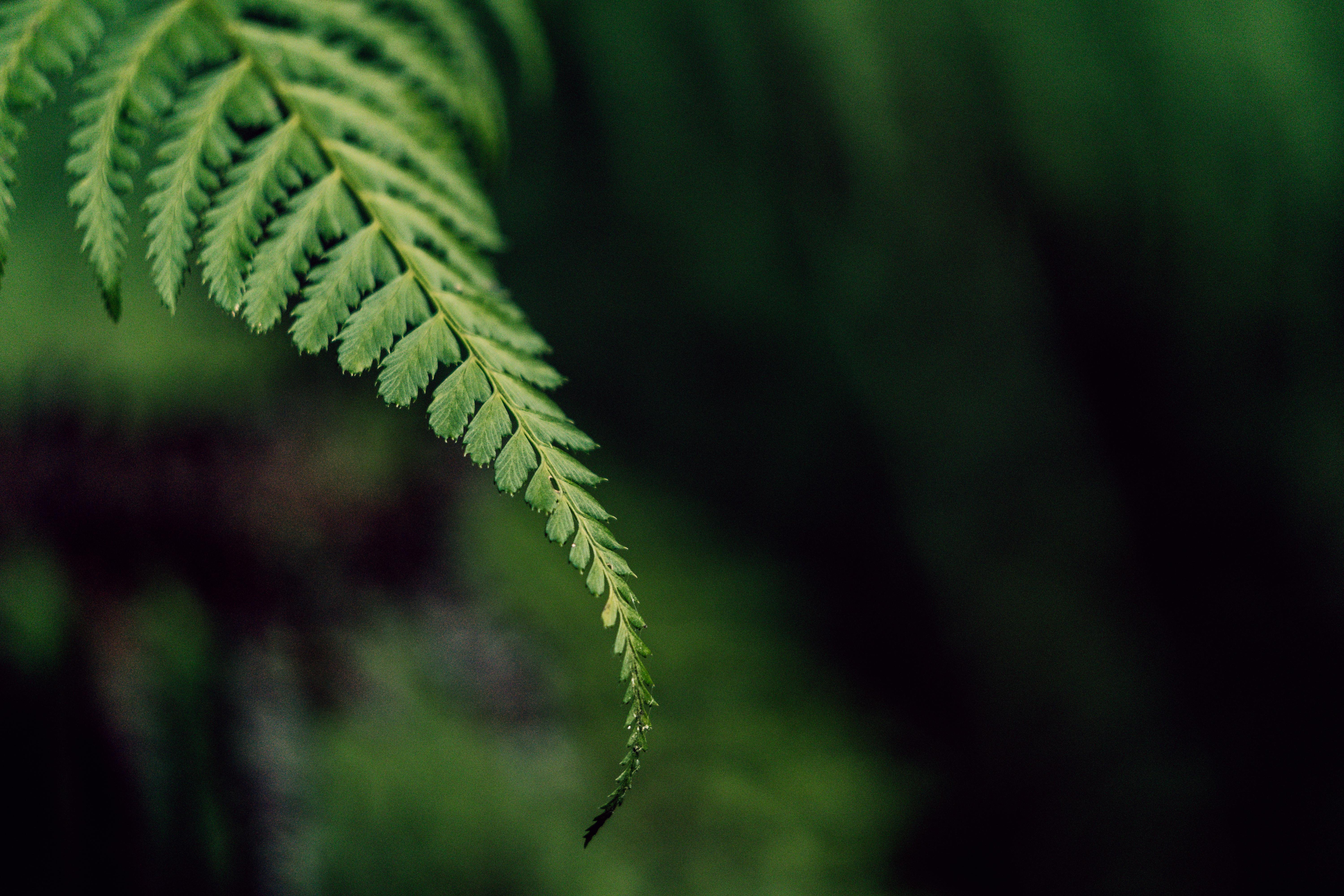 Eco-Friendly Adventures: Exploring Nature Sustainably