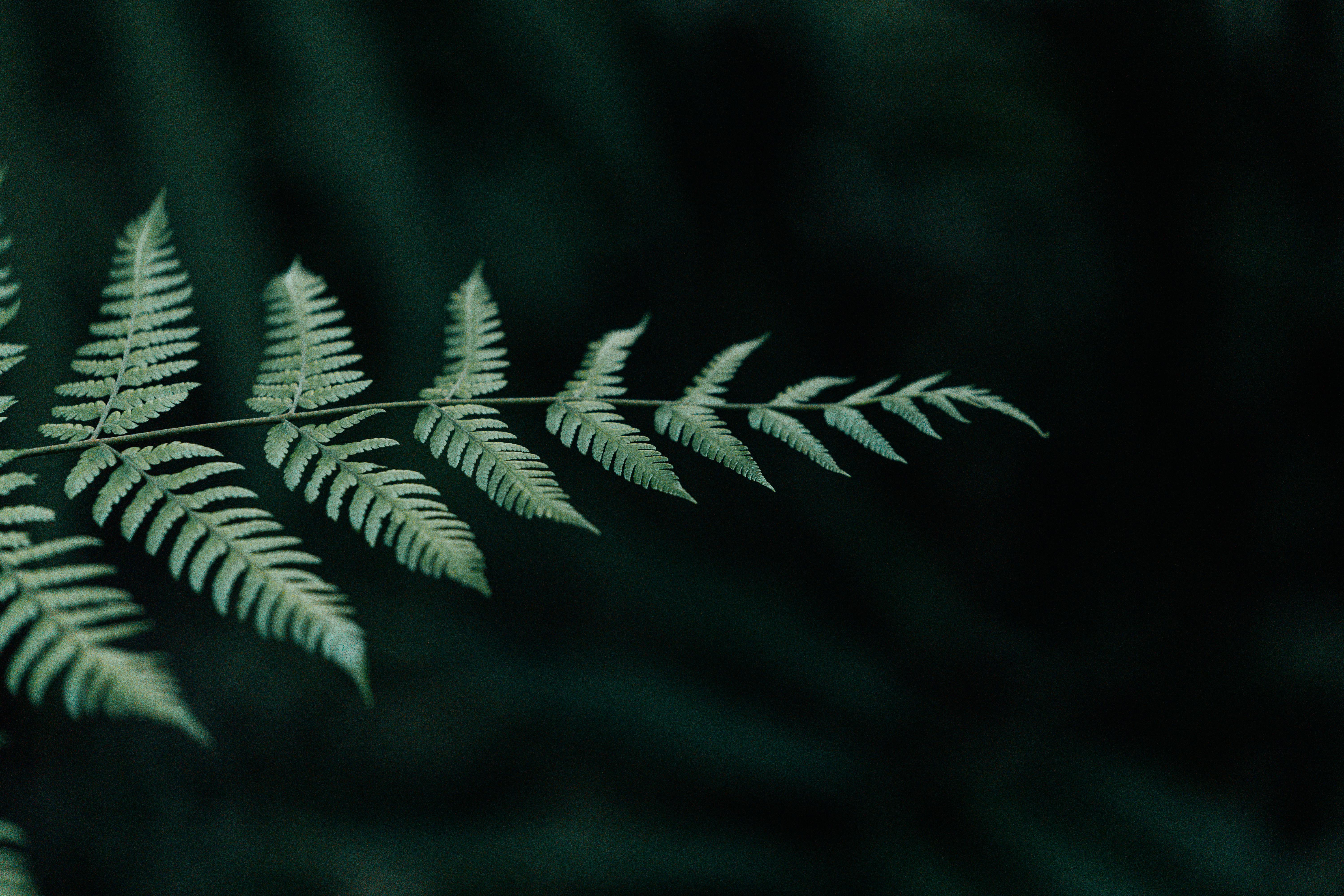 Wilderness Adventures for Beginners: Your Ultimate Guide