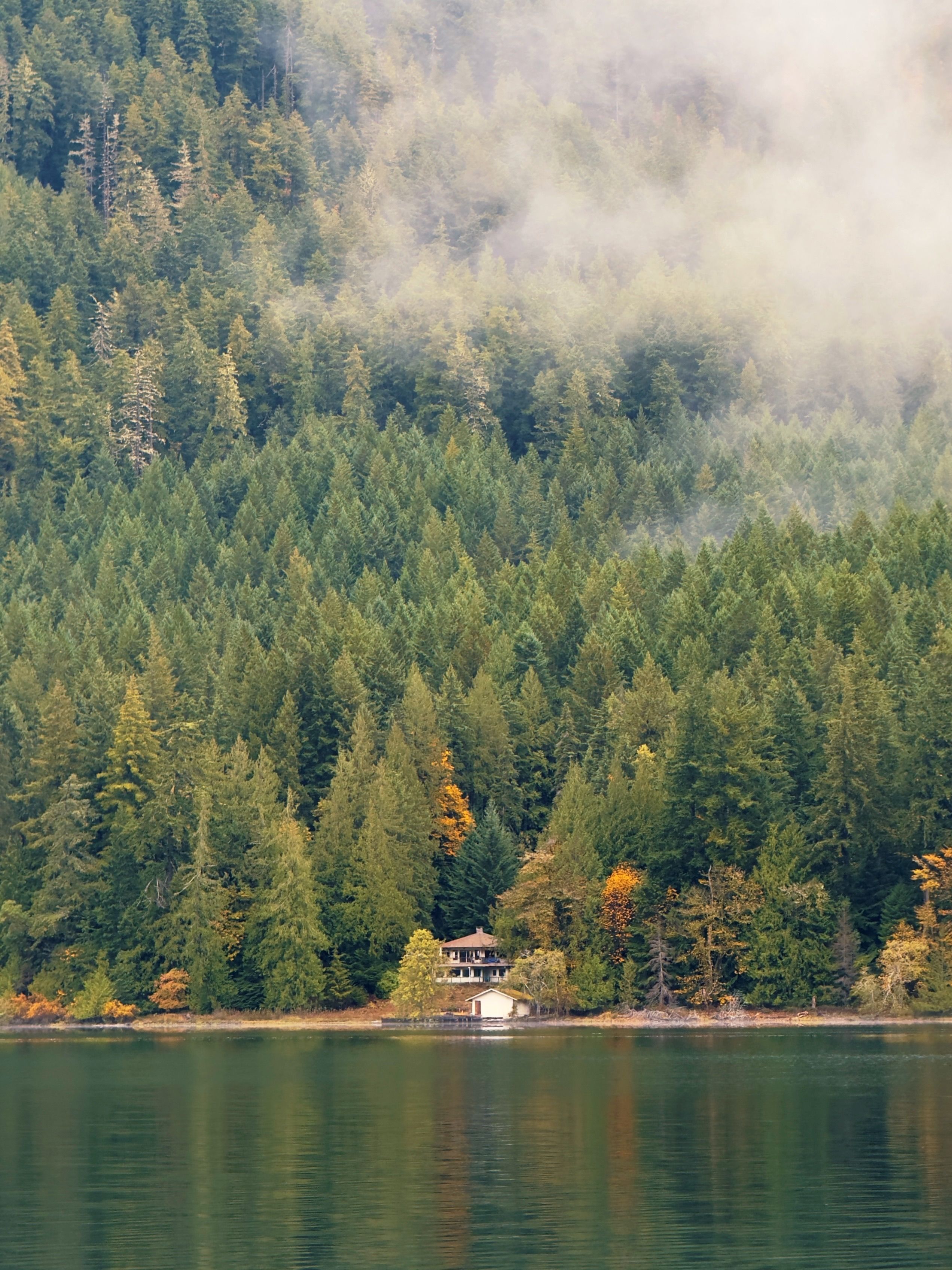 Tranquil Lakeside Cabin in Misty Forest · Free Stock Photo