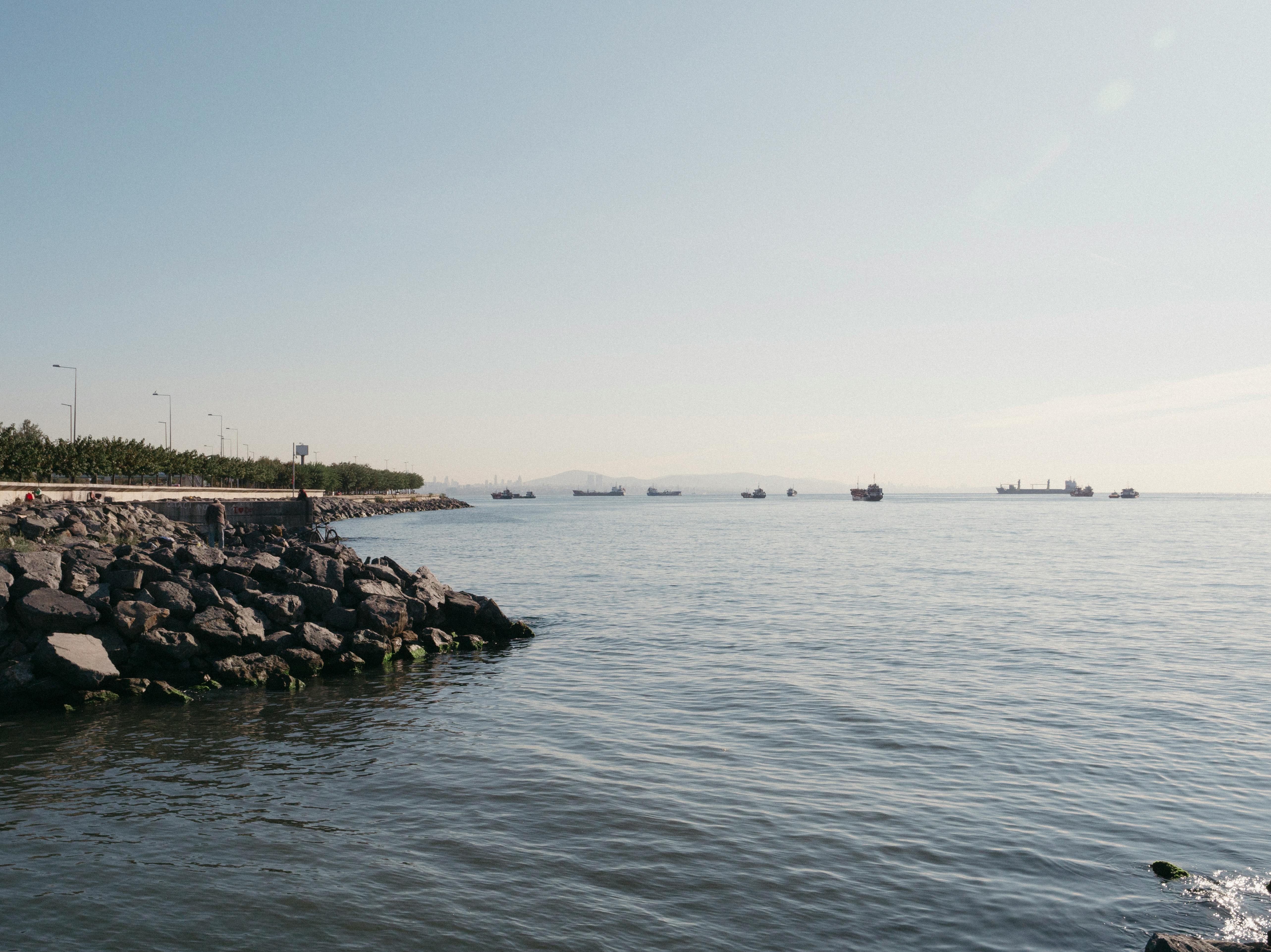 財經：維多集團：中國船舶費對液化天然氣影響逐漸減弱