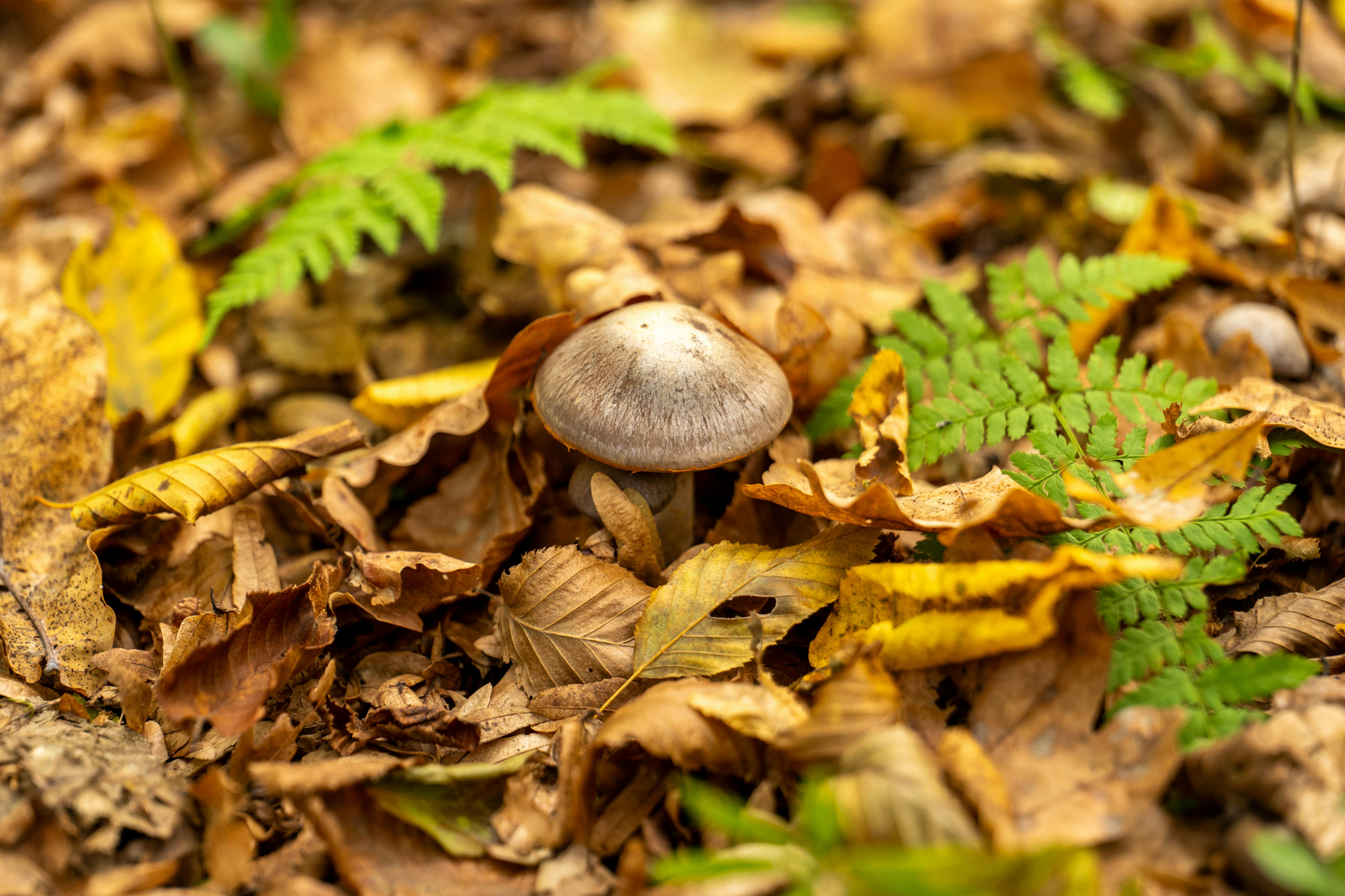Ayollar onanizm haqiqiydir