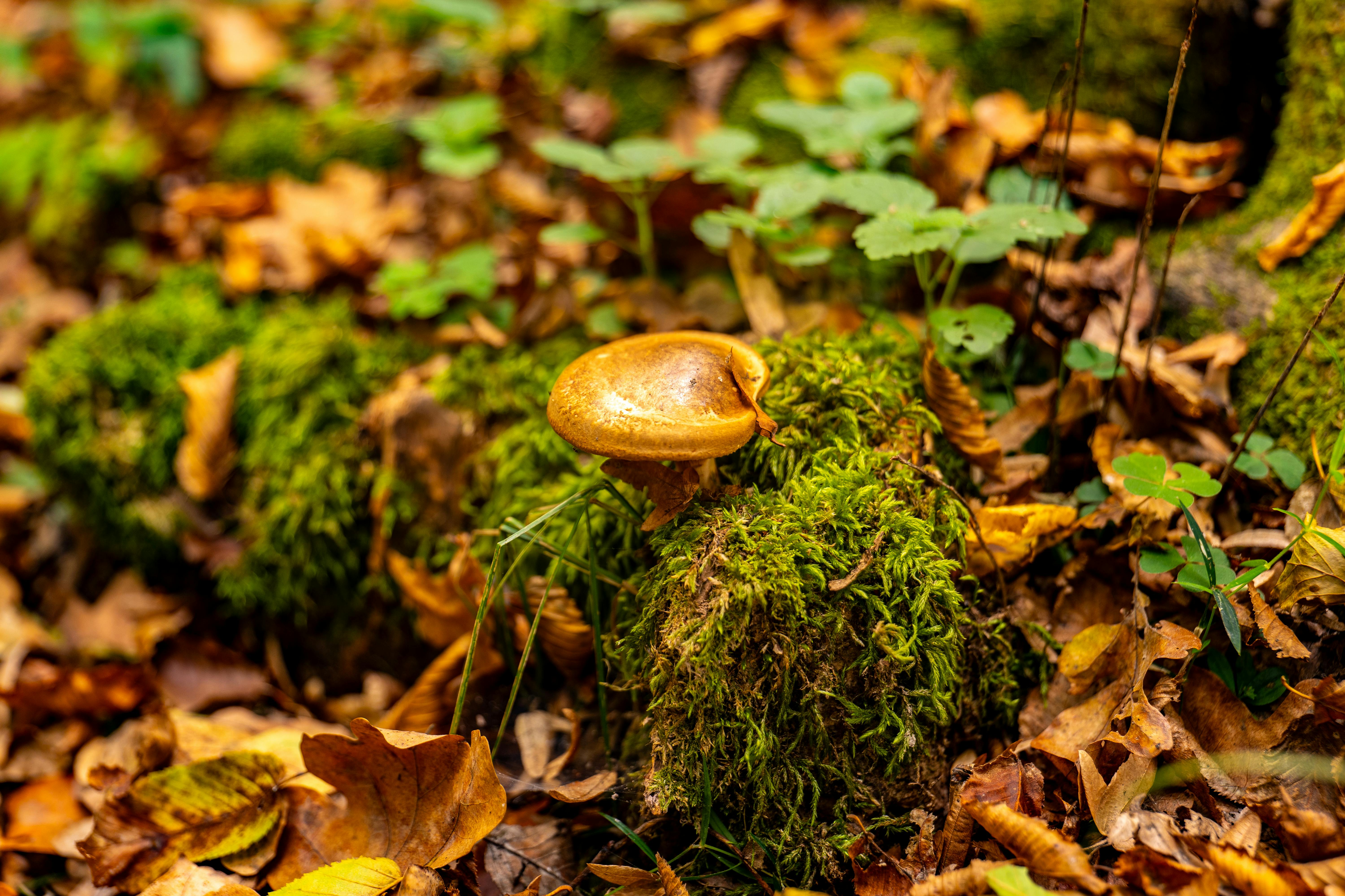 中信電競戰隊國際賽事奪冠 持續展現實力與影響力