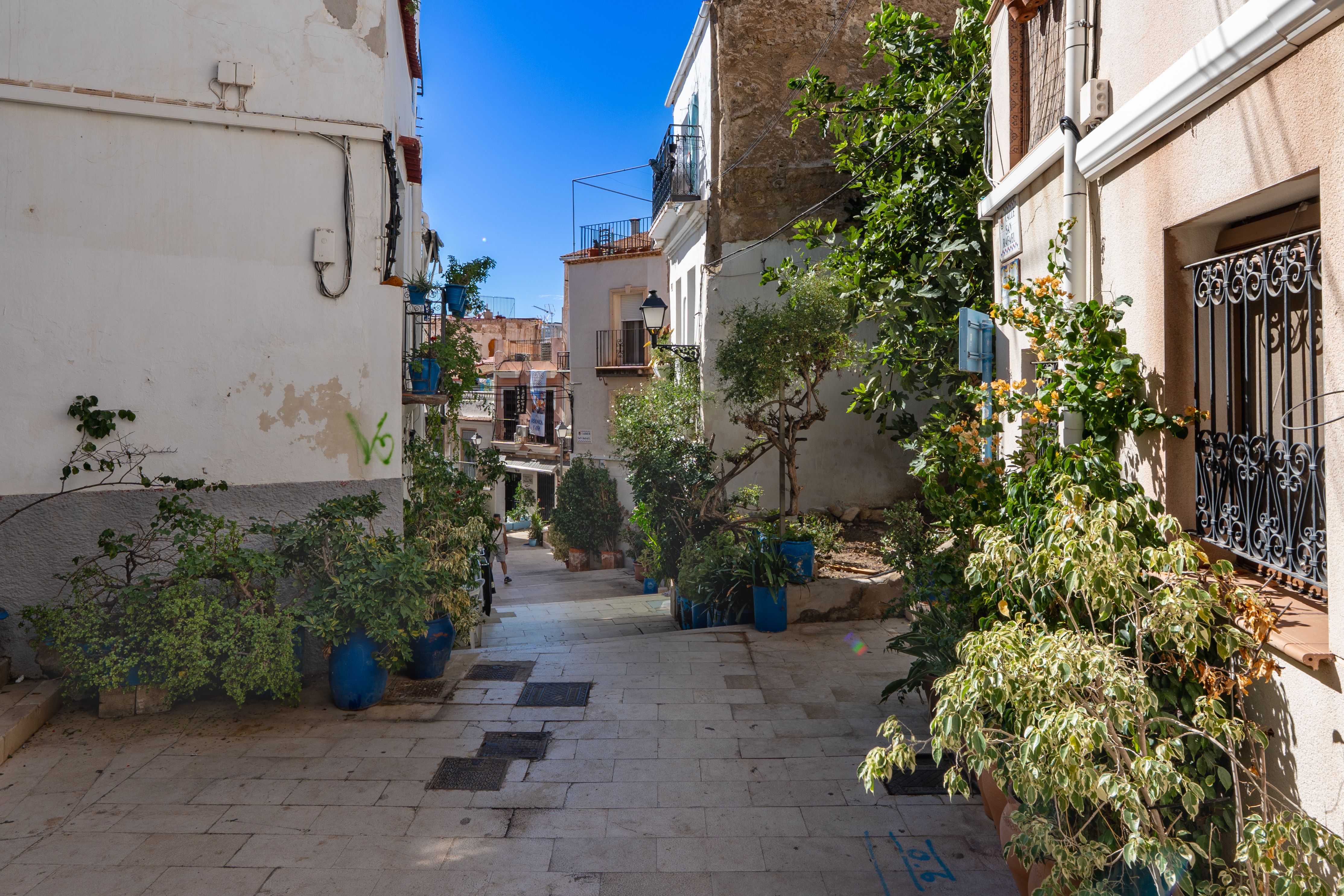 Alicante