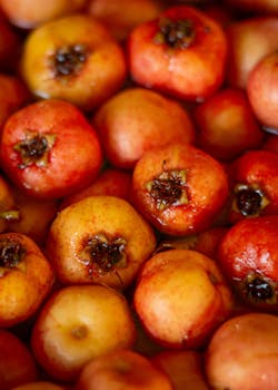 Vibrant red and yellow crabapples floating in water, showcasing freshness and texture.