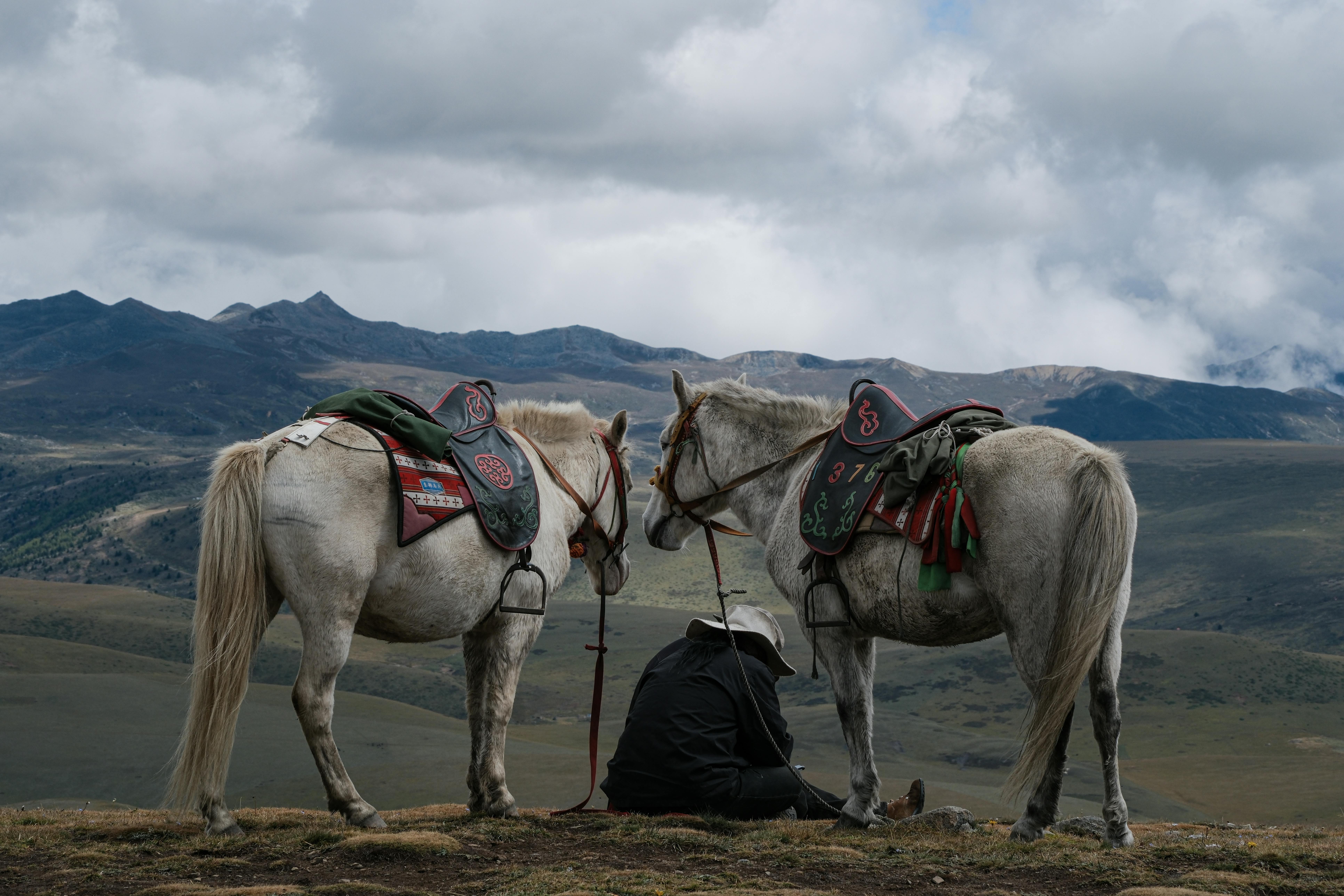 Revolutionary AI Tech Shaping Sustainable Farming