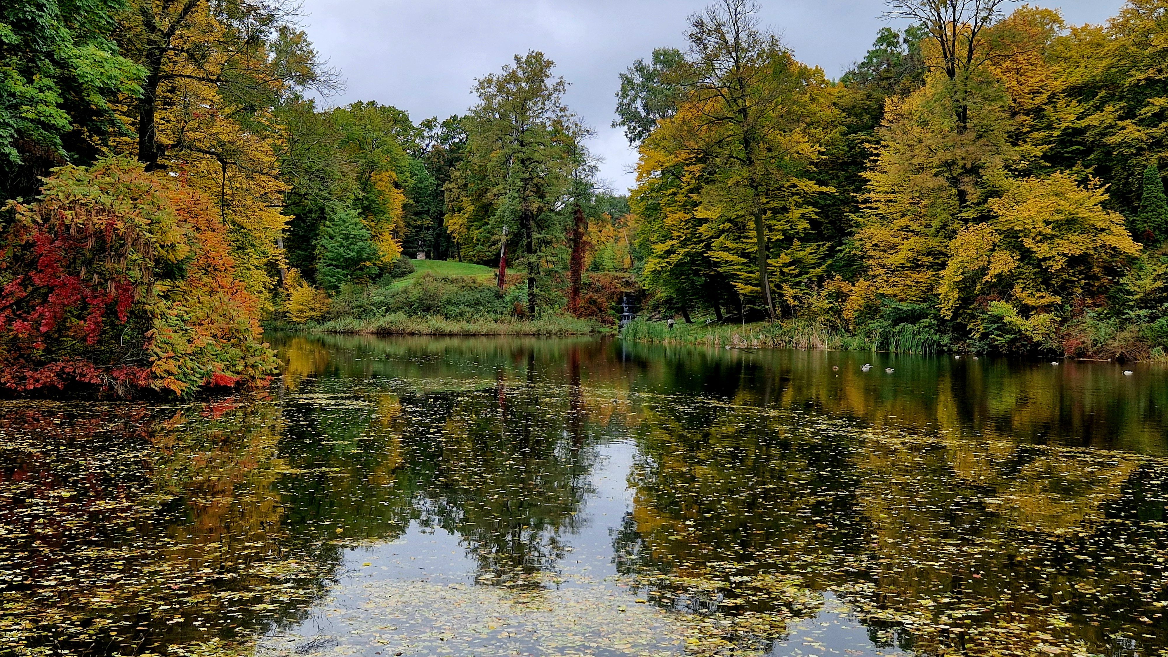 Tranquil Autumn Lake with Colorful Reflections · Free Stock Photo