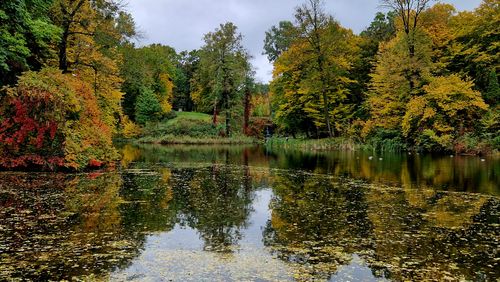 Free A serene lake landscape showcasing vibrant autumn foliage and calm reflections. Stock Photo