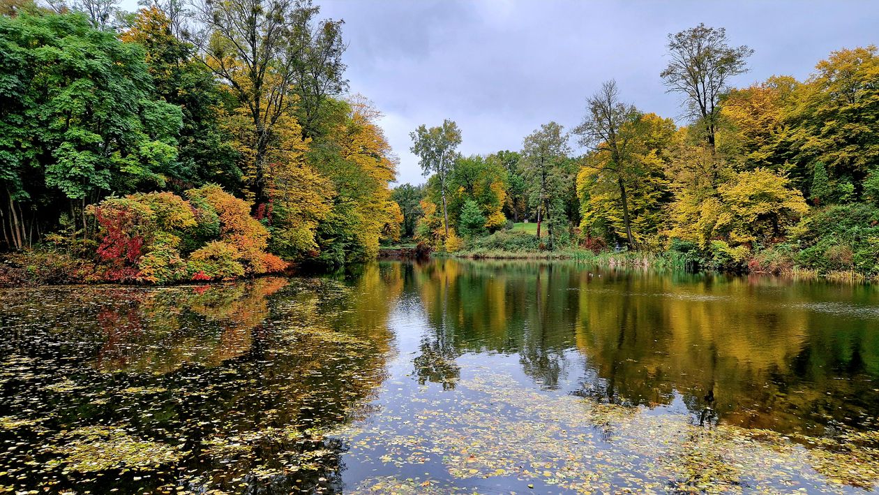 Idyllic Autumn Scene by a Serene Lake · Free Stock Photo