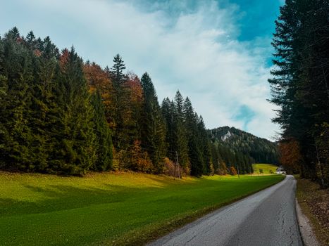 Peaceful road winding through lush green alpine forest in Austria during autumn, showcasing vibrant foliage.