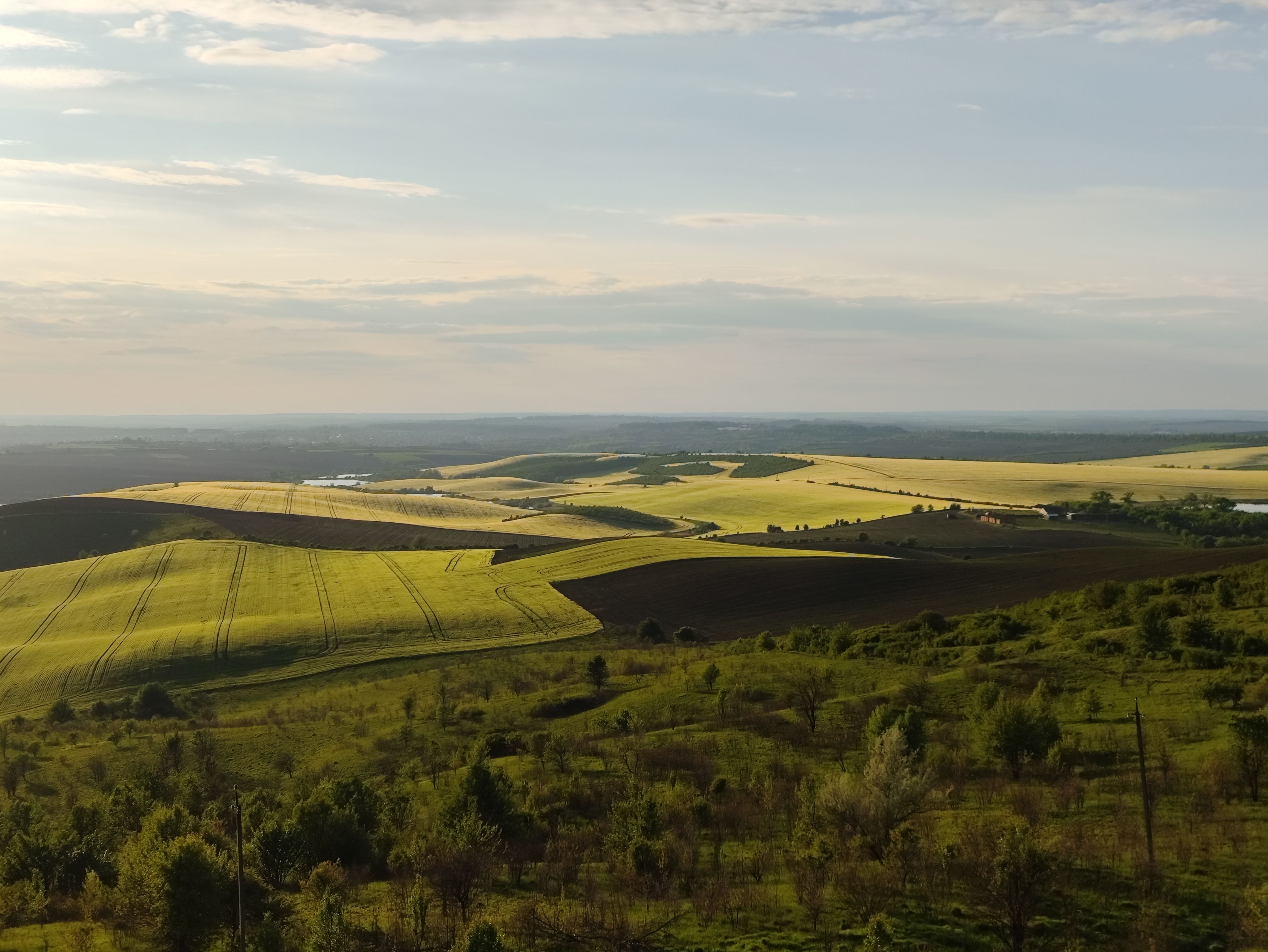 Foto: Андрій Мороз / Pexels