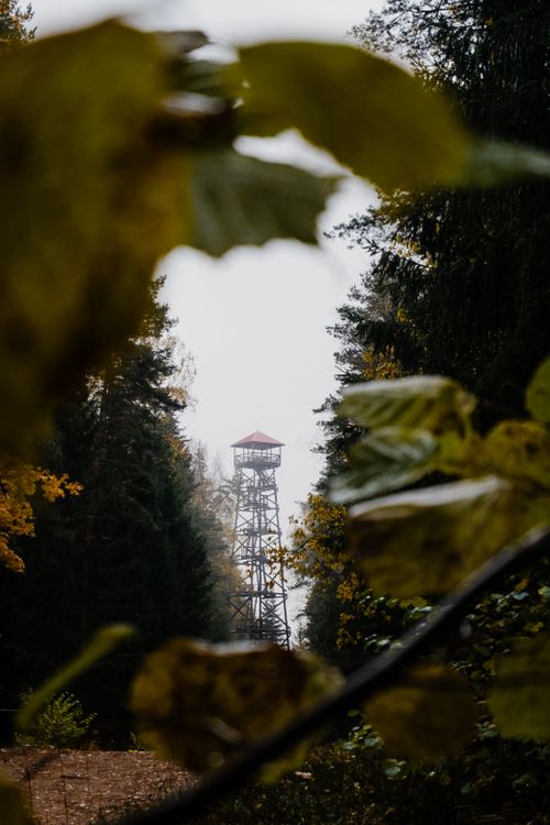 Free A secluded firewatch tower peeks through autumn foliage in a dense forest, offering a serene and isolated view. Stock Photo