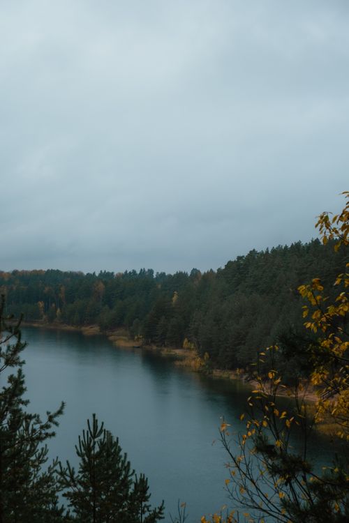 Free A tranquil scene of a forest lake surrounded by autumn foliage under an overcast sky. Stock Photo