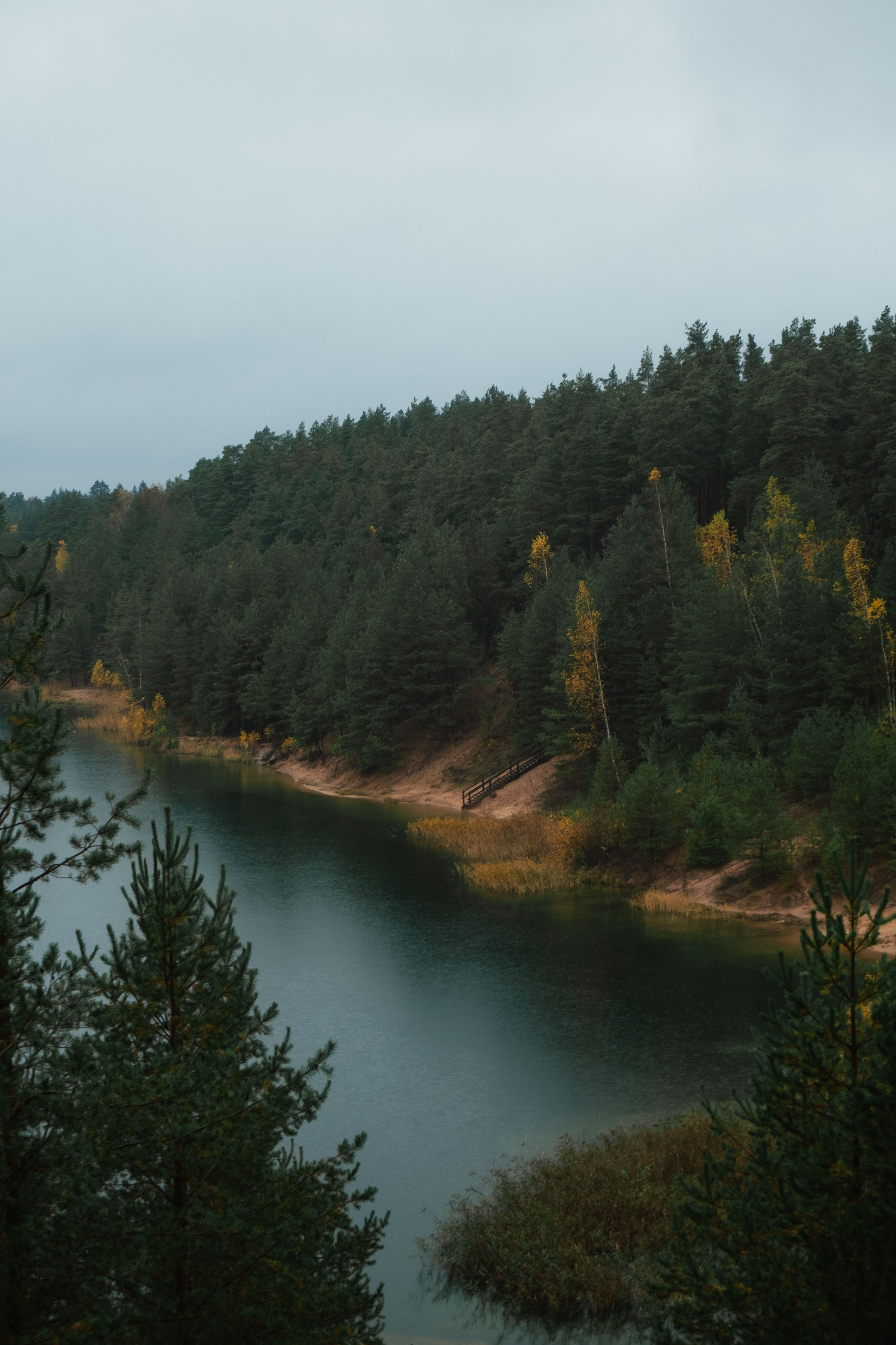 Serene Forest Lake in Autumn Landscape · Free Stock Photo