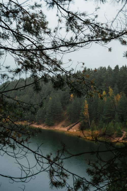 Free Peaceful view of a forest lake surrounded by autumn trees, branches framing the scene. Stock Photo