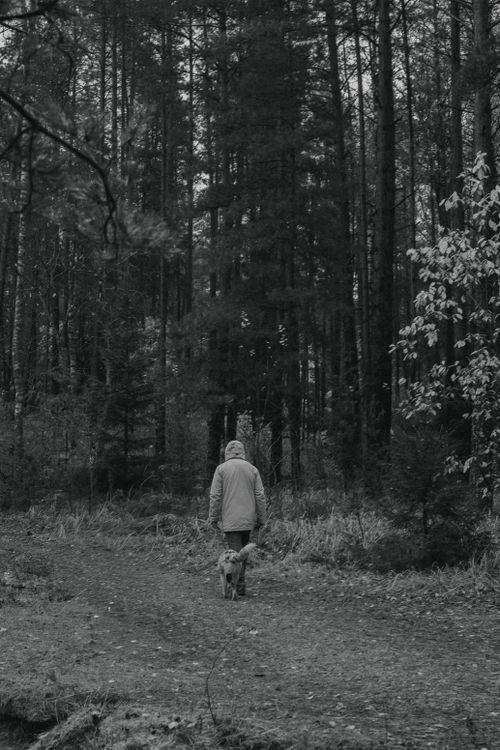Free Adult walking a dog on a forest path, captured in moody black and white tones. Stock Photo