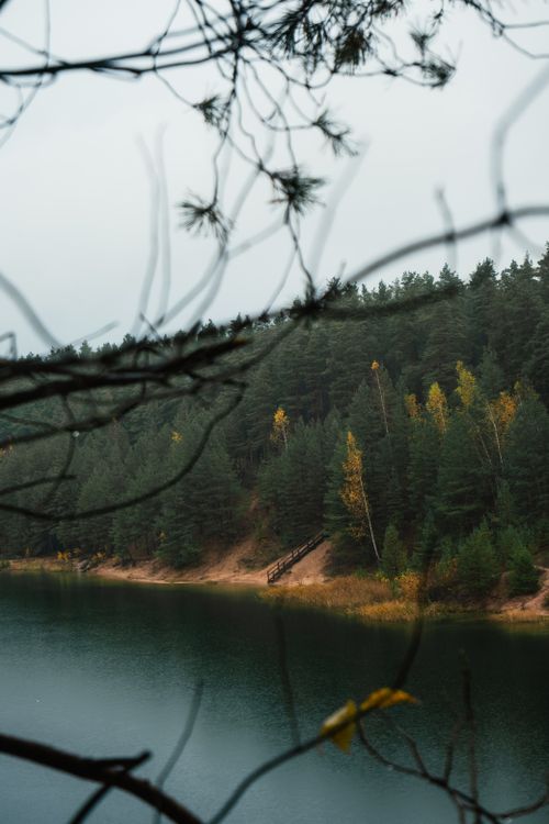 Free Peaceful forest lake surrounded by autumn trees and a wooden bridge view. Stock Photo