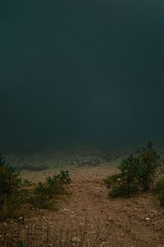 Tranquil lakeside view with pine trees under a serene, foggy atmosphere.