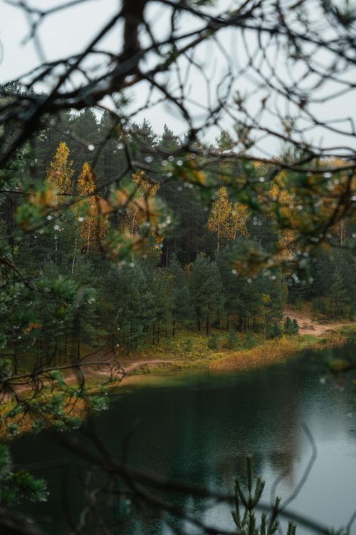 Free Peaceful forest scene with a calm lake and autumn leaves captured through branches. Stock Photo