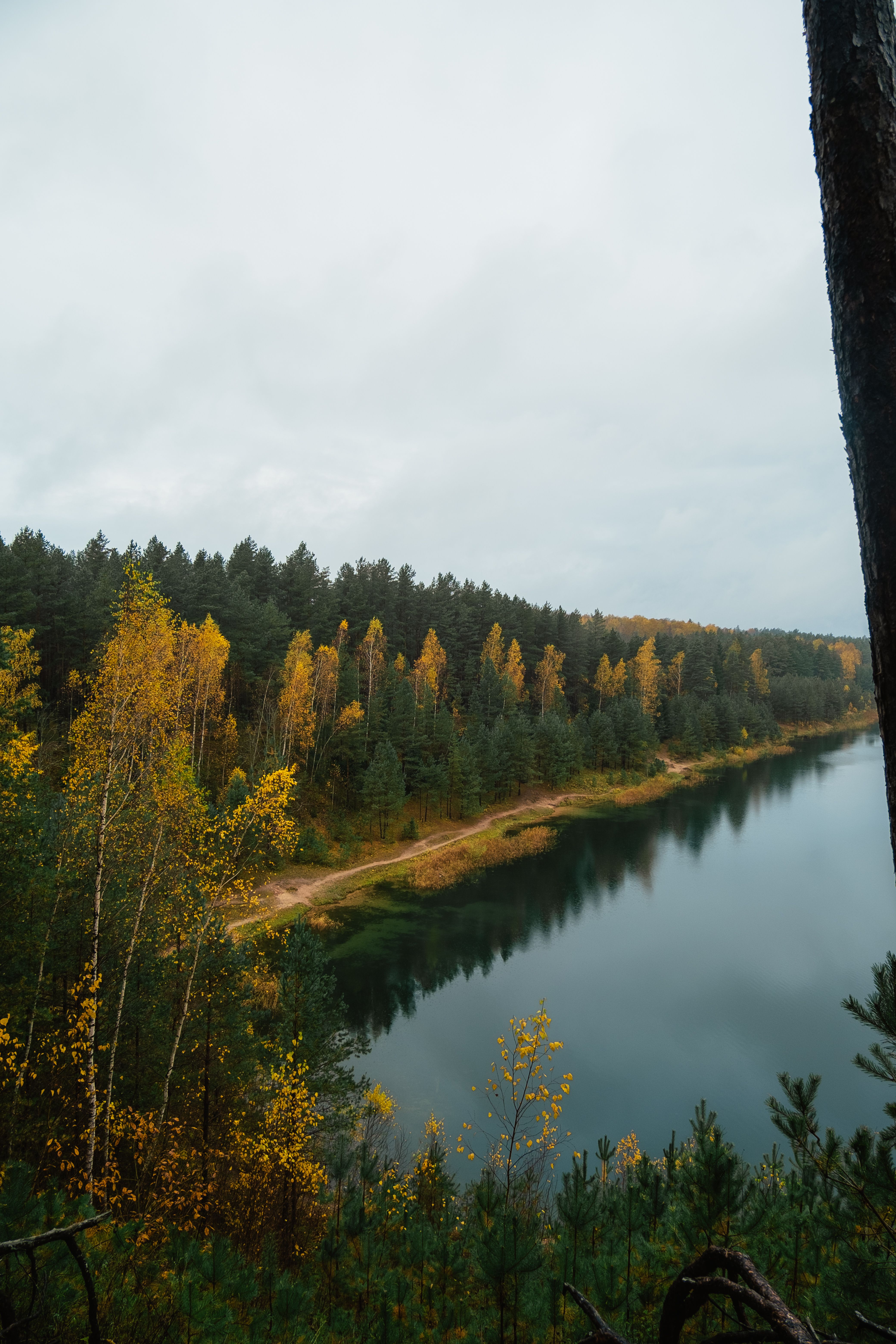 Autumn Trees Reflected in a Serene Lake · Free Stock Photo
