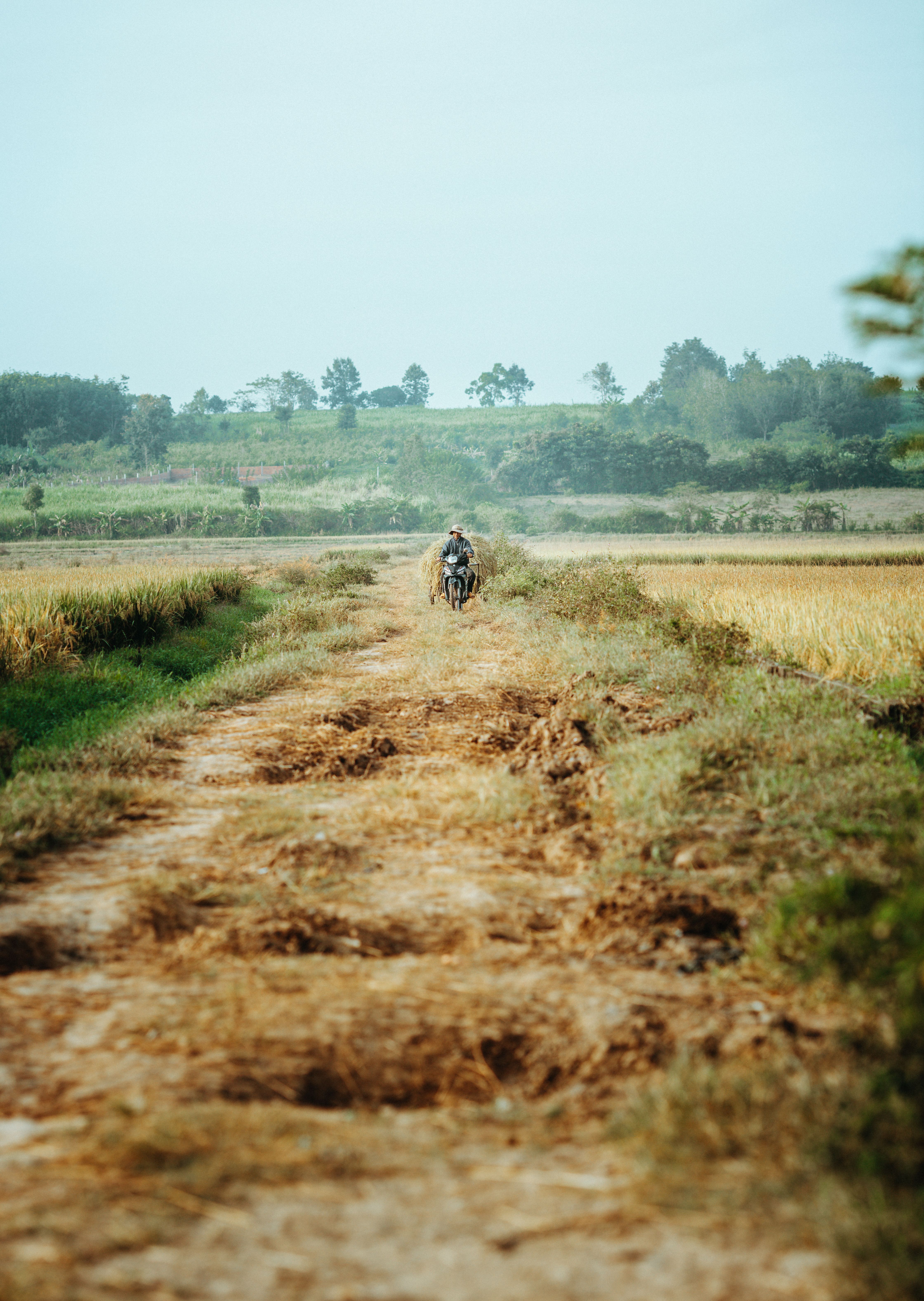 Rural Path Through Kon Tum Countryside · Free Stock Photo