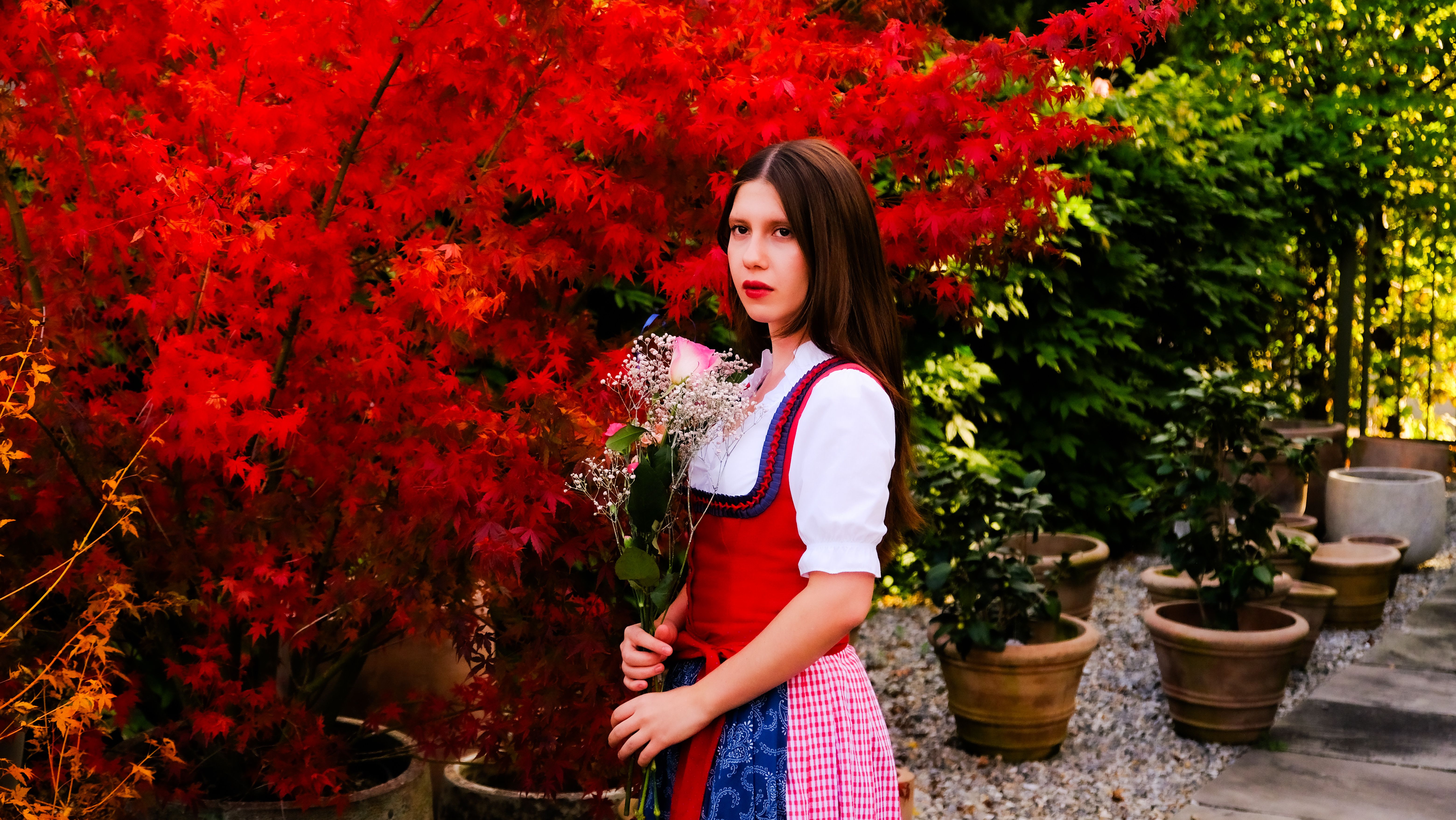 A young woman in traditional Austrian dirndl surrounded by vibrant red autumn leaves in Graz, Austria. - Graz