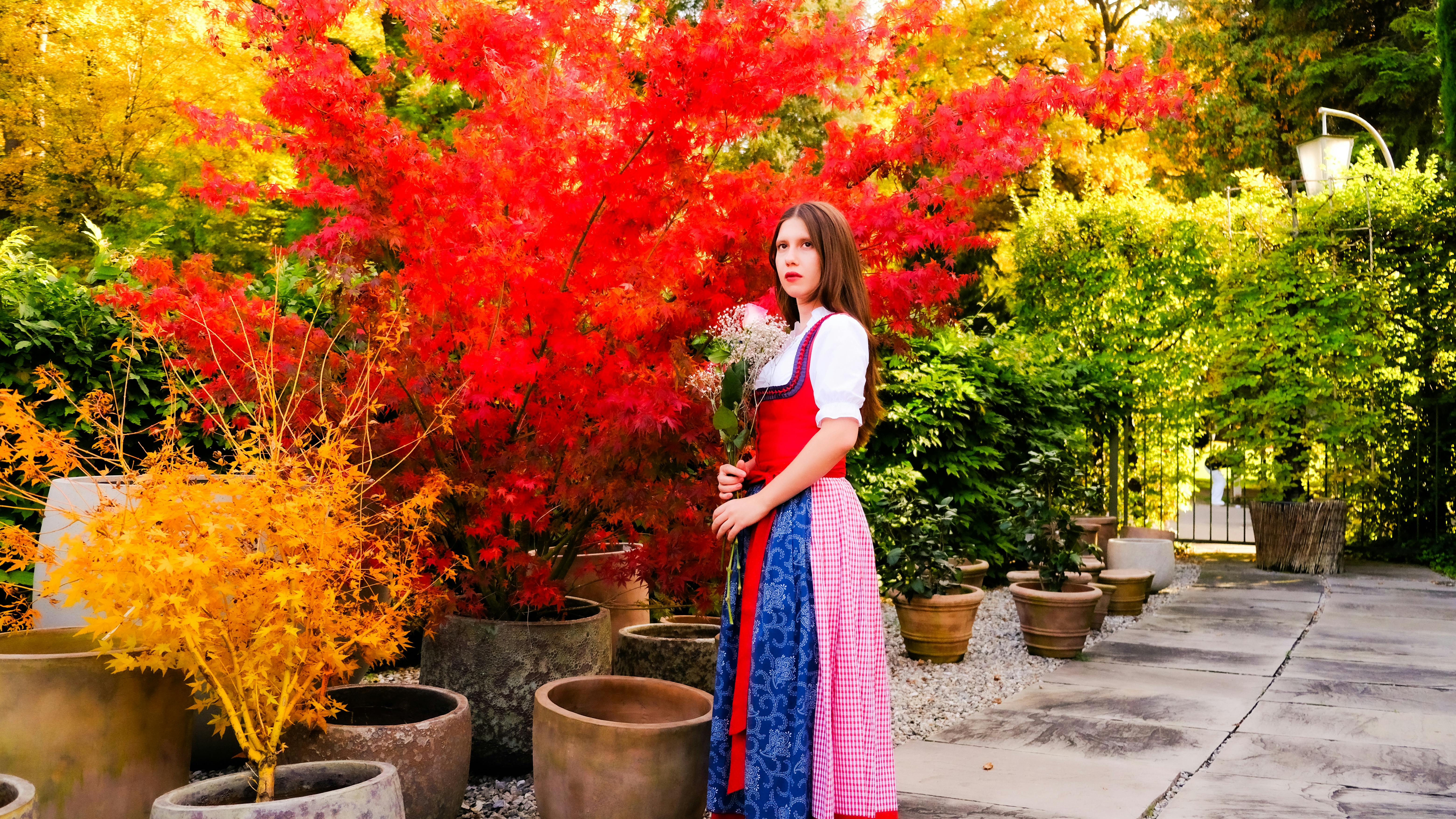 Establecimiento y Manejo Agronómico de *Berberis microphylla* en Patagonia