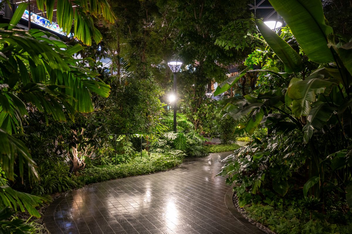 Lush garden pathway illuminated at night