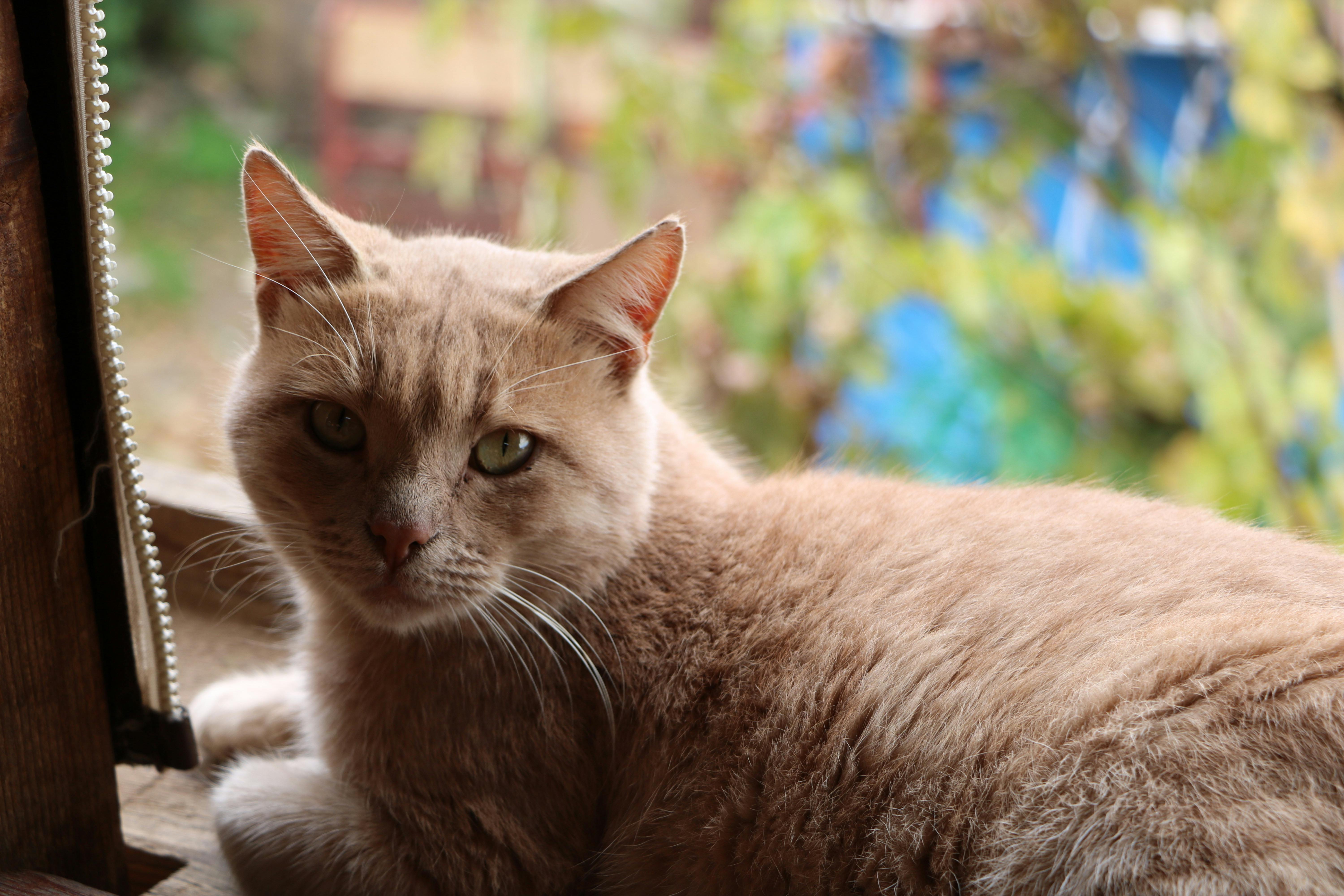 Effective Strategies for Sponsored Content Partnerships