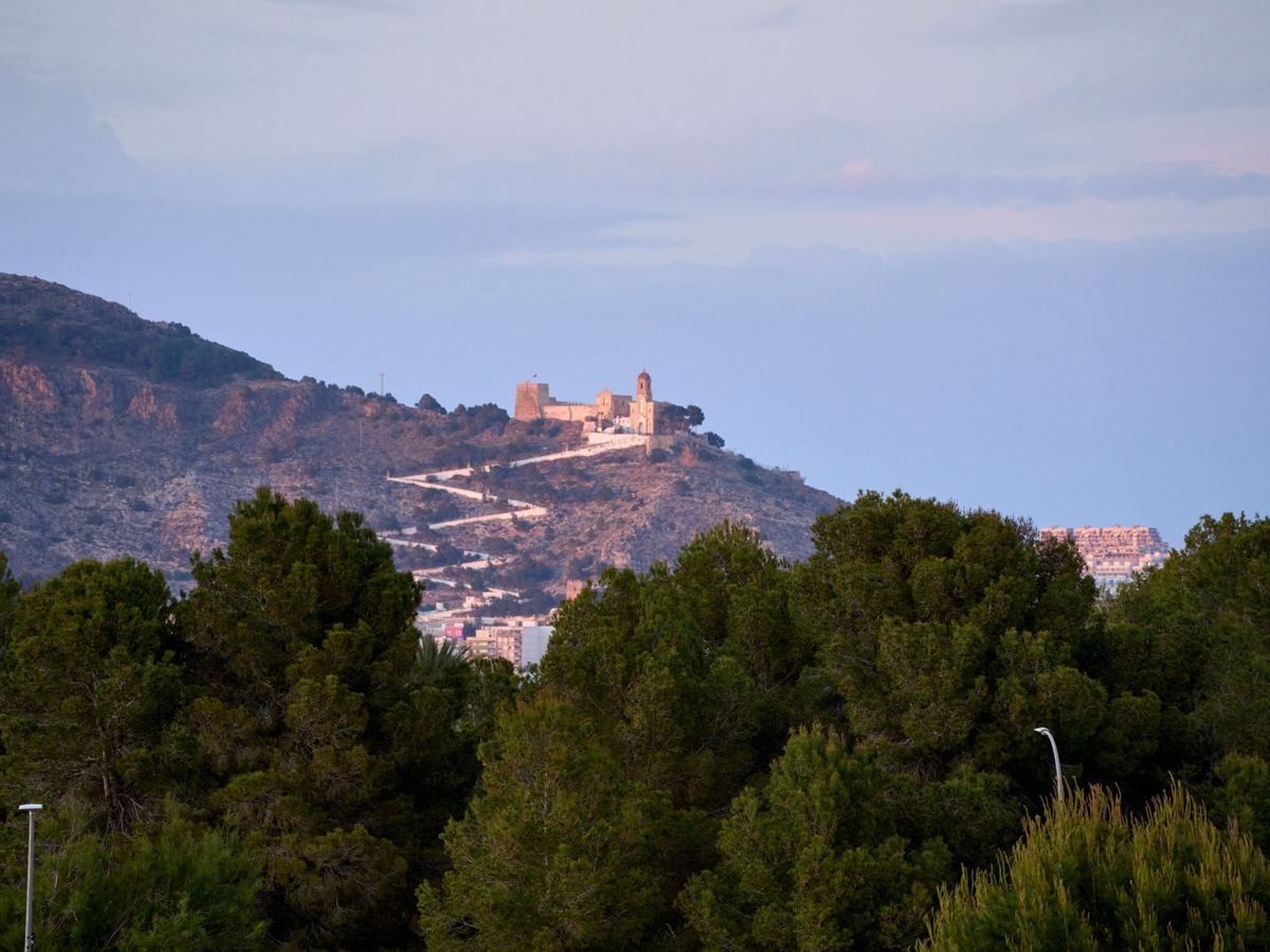 Mallorca Yoga Retreat 3