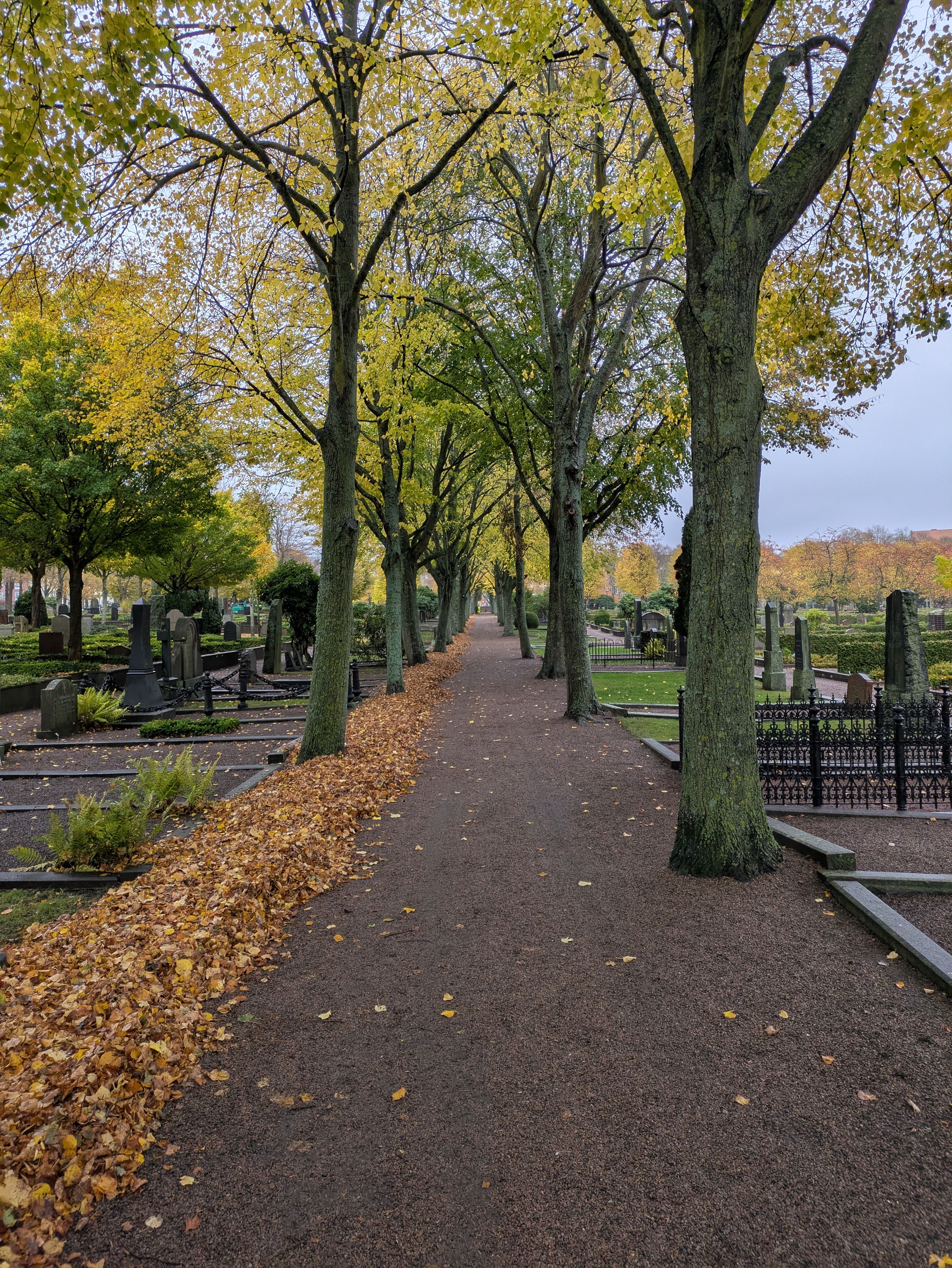 Serene Autumn Pathway through a Cemetery · Free Stock Photo