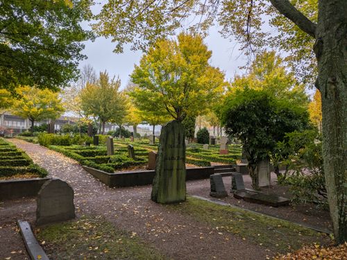 Free Serene view of a cemetery with vibrant autumn foliage and moss-covered gravestones. Stock Photo