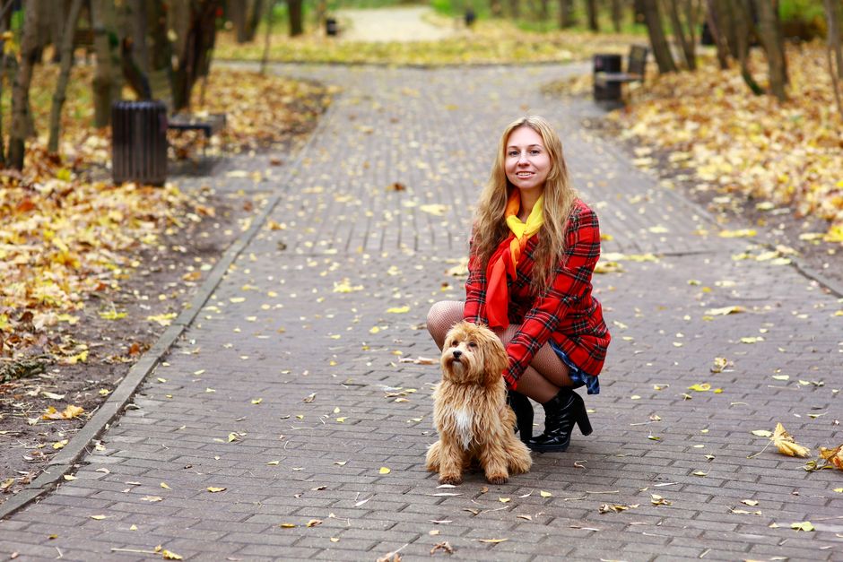 Experienced Dog Walker in Edmonton – Reliable & Trustworthy
