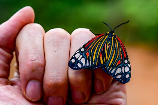 Vibrant butterfly with intricate patterns perched on a person's hand, outdoors.