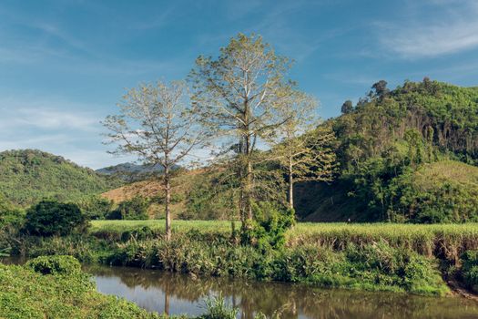 Serene river and lush green hills in Kon Tum, Vietnam, showcasing natural beauty. - Fotografer Sidoarjo