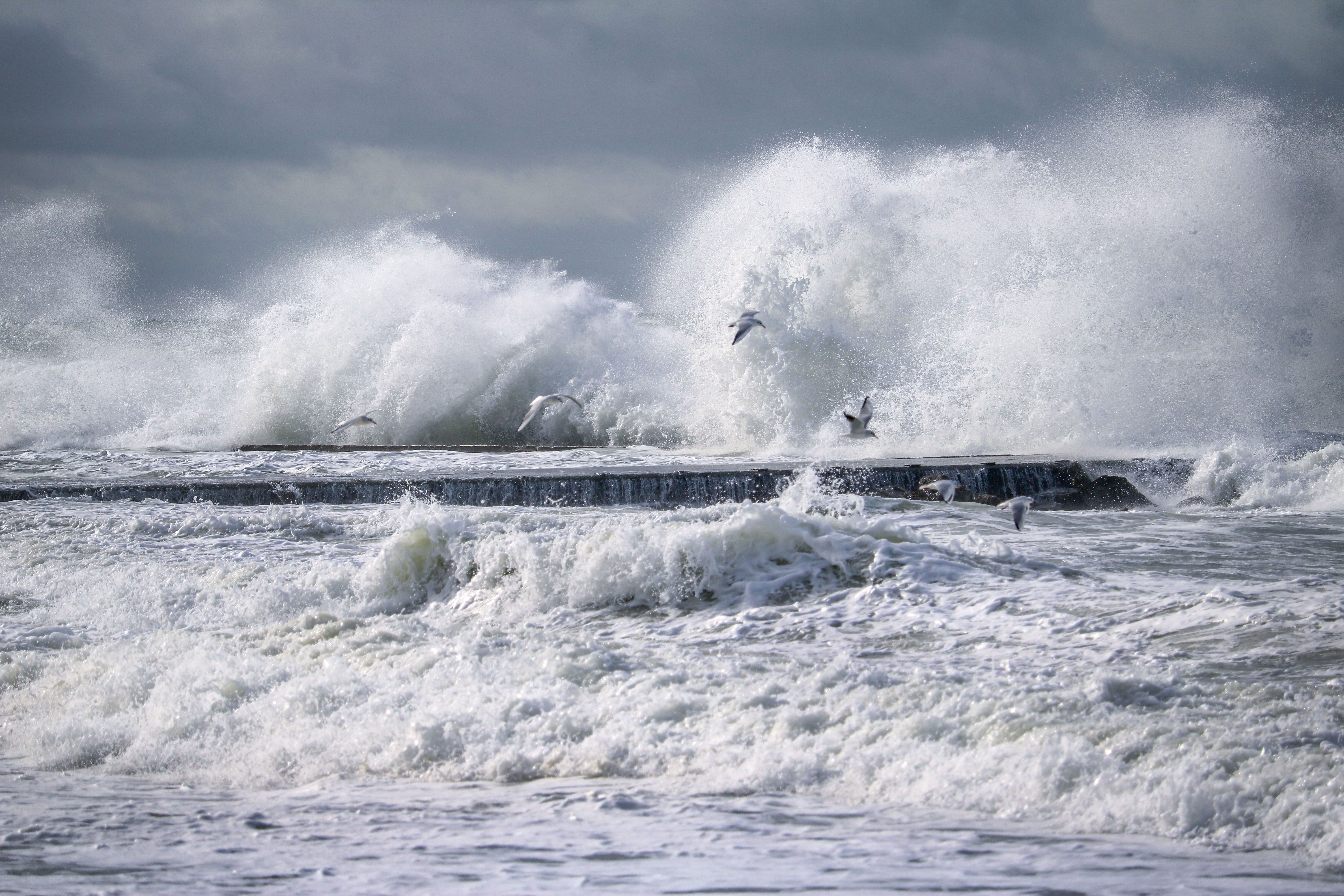 Dramatic Waves Crashing at Saint-Pair-sur-Mer · Free Stock Photo