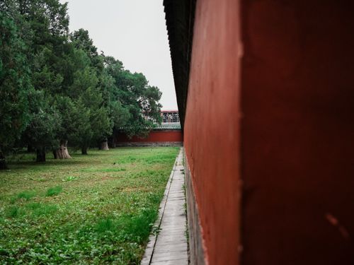 Free Serene scene of lush greenery beside a traditional red wall, creating a harmonious and peaceful atmosphere. Stock Photo